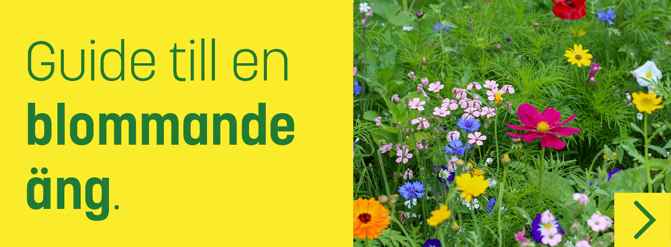 pdf-bilder_24-nya_4.png