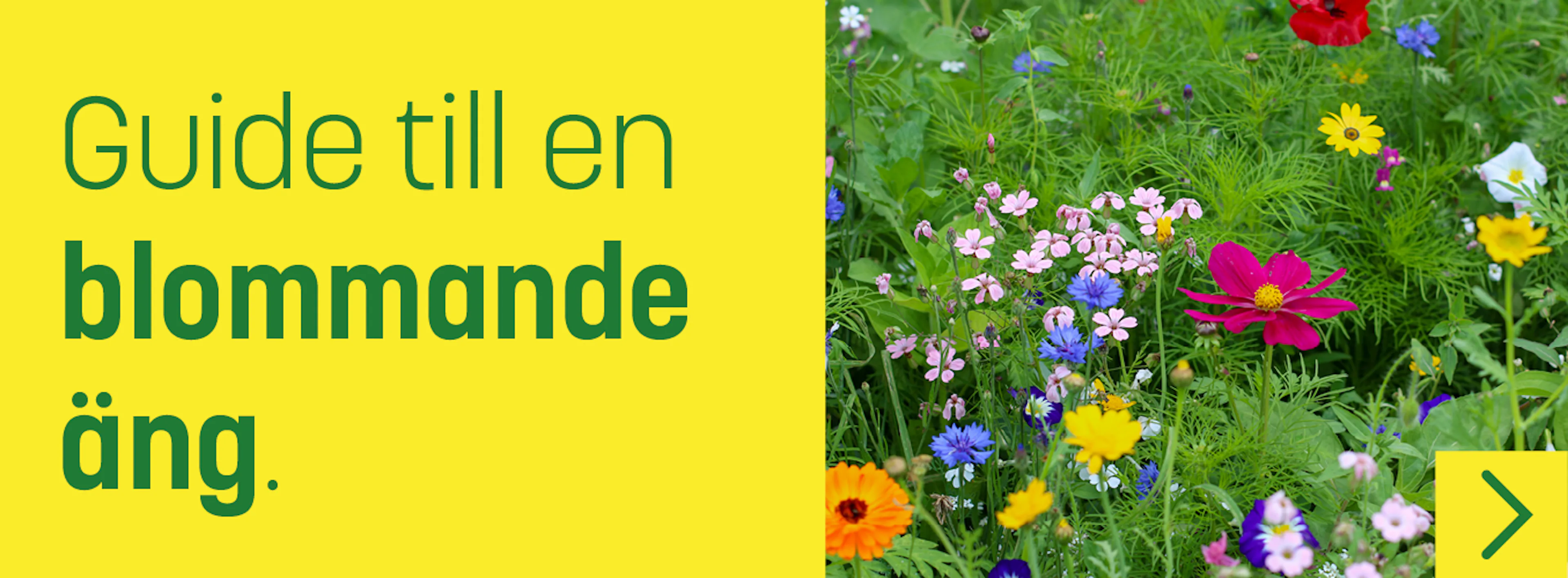 pdf-bilder_24-nya_4.png