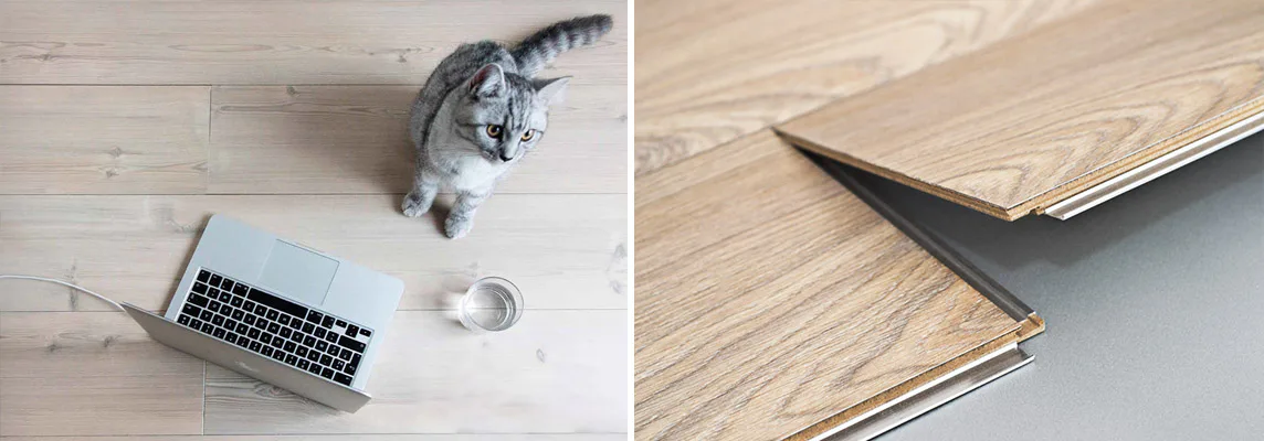 Laminatgolv som håller för allt