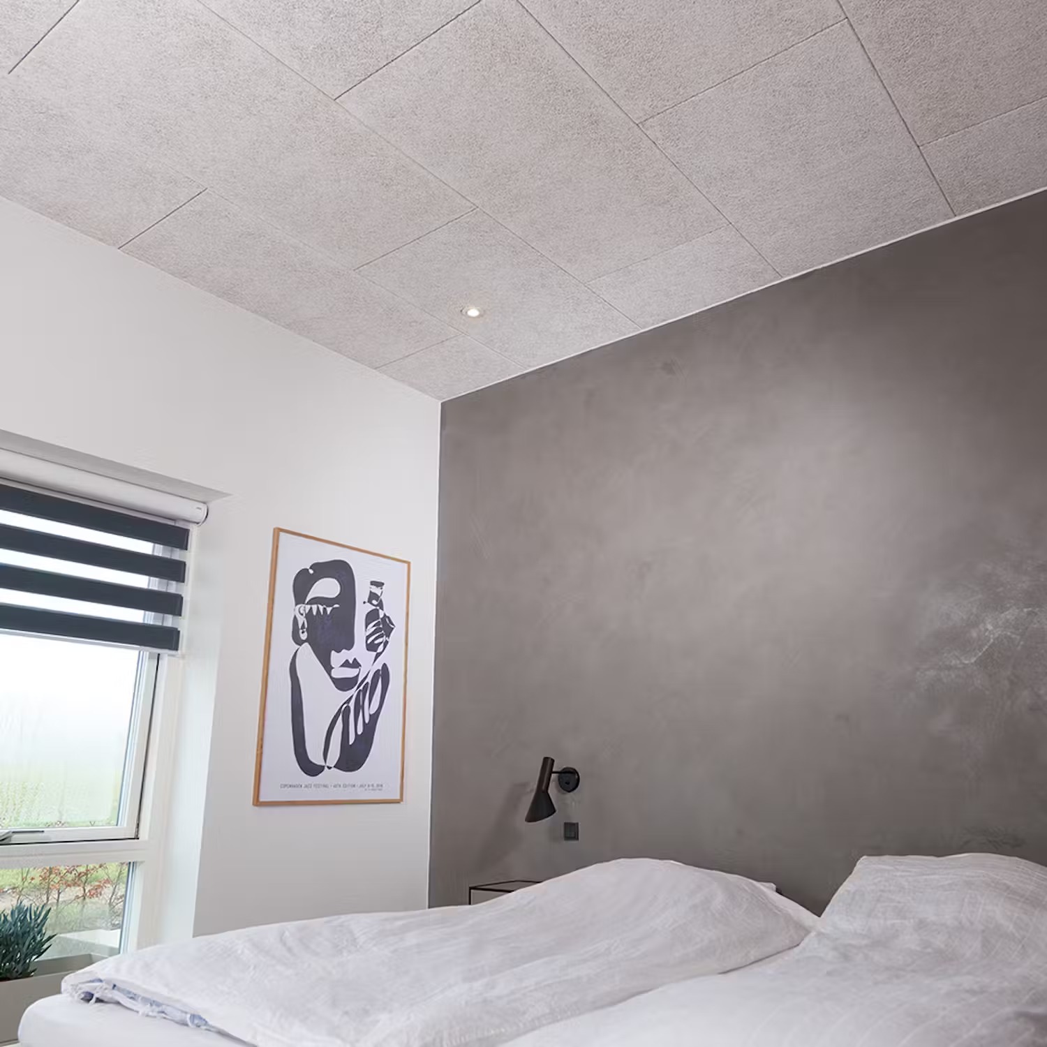 Olika typer av innertak