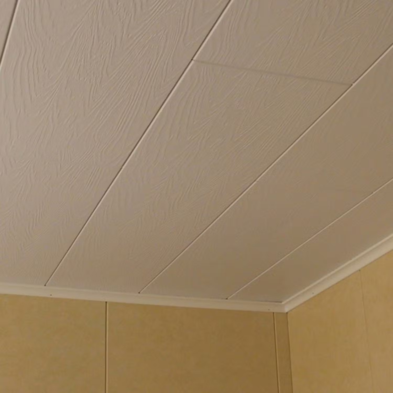 Olika typer av innertak