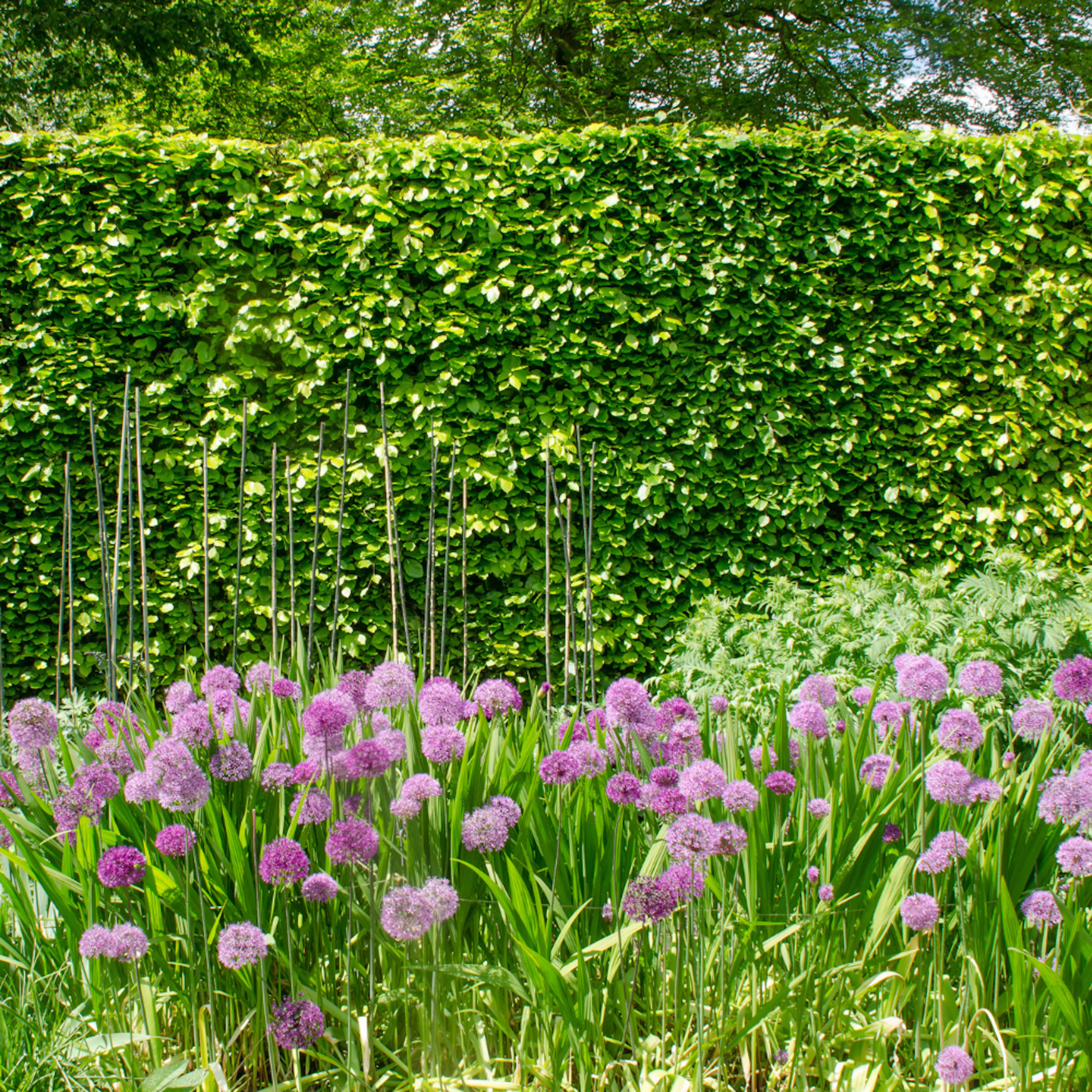 omniagarden_galleri9.png