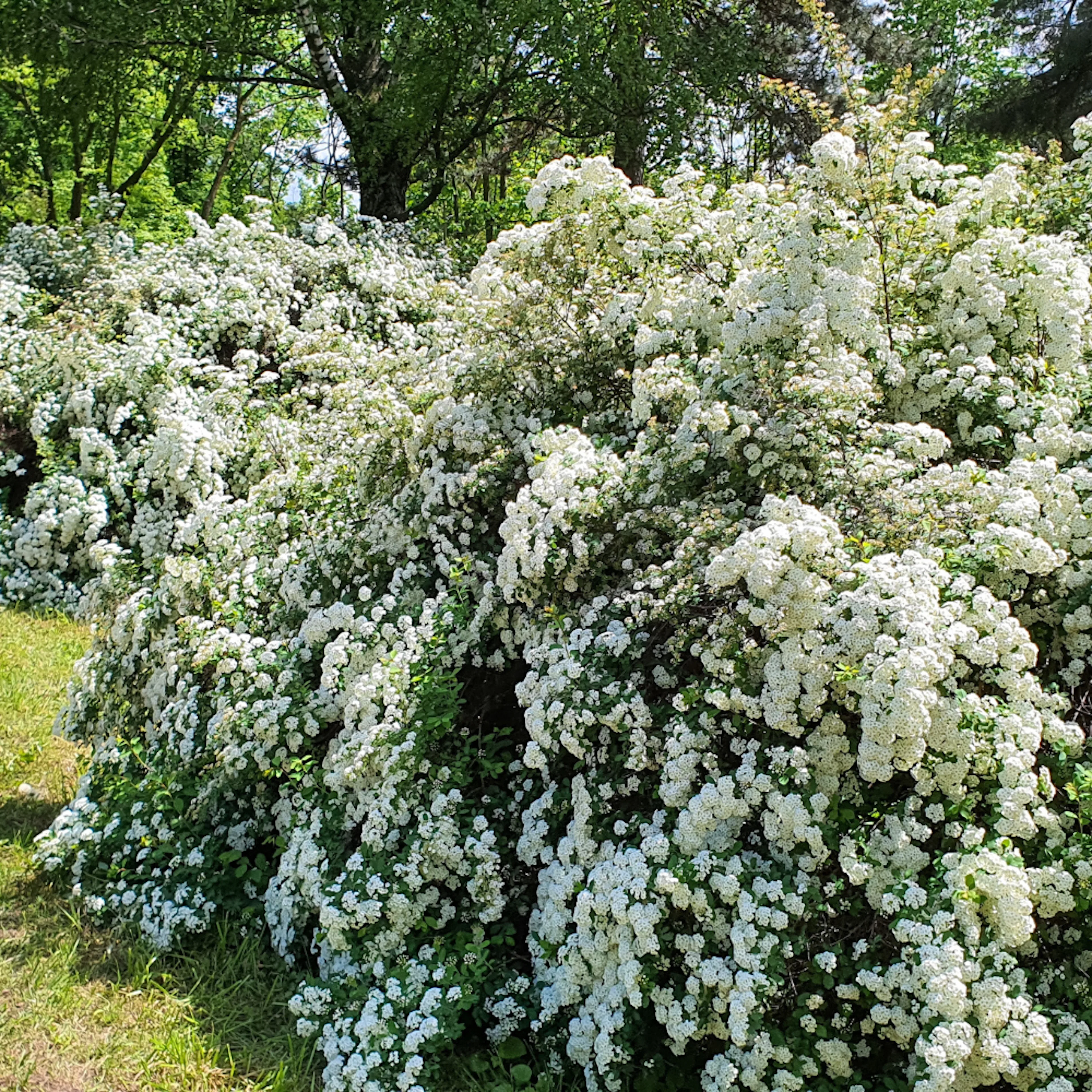 omniagarden_galleri12.png