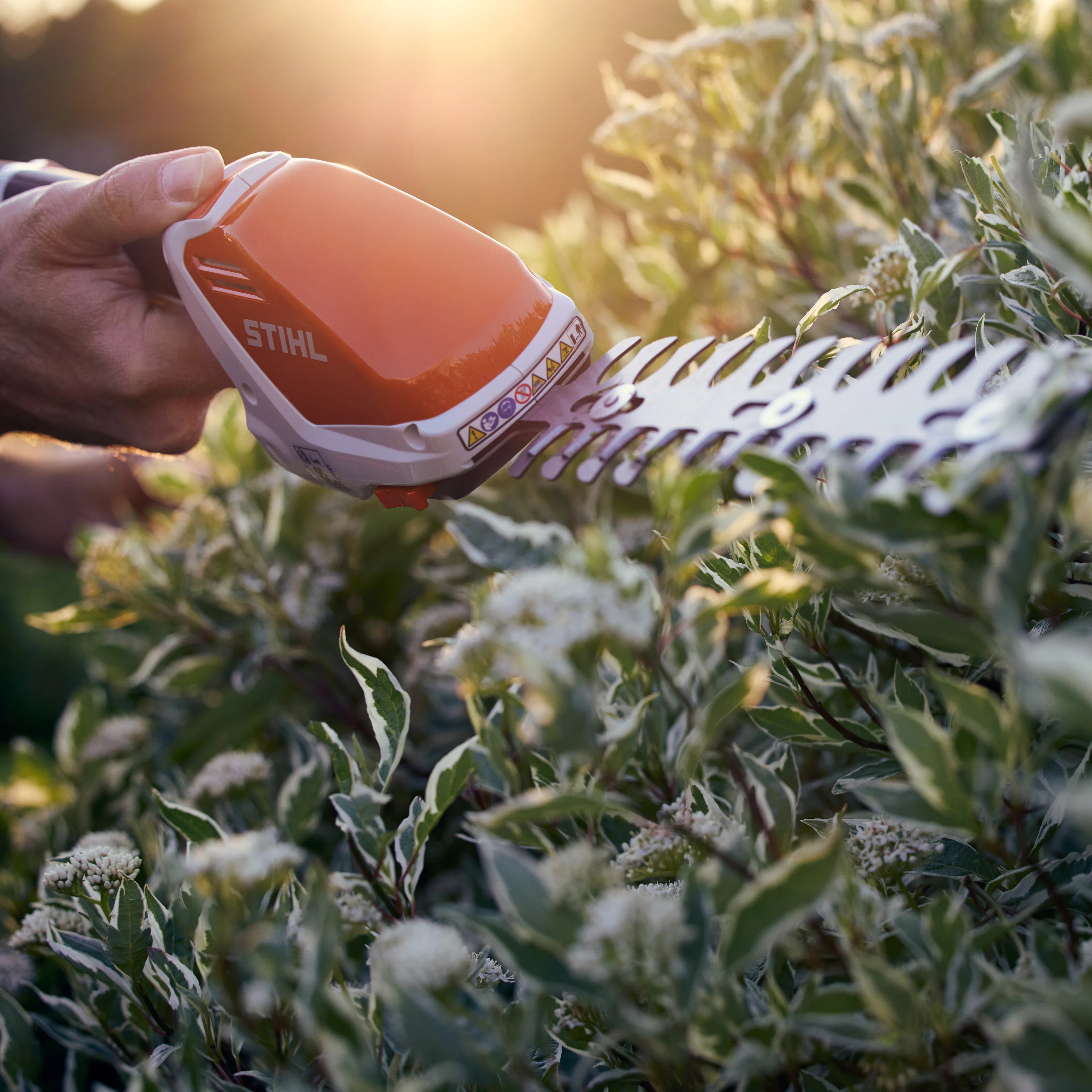stihl_gallery_as_hedge.jpg