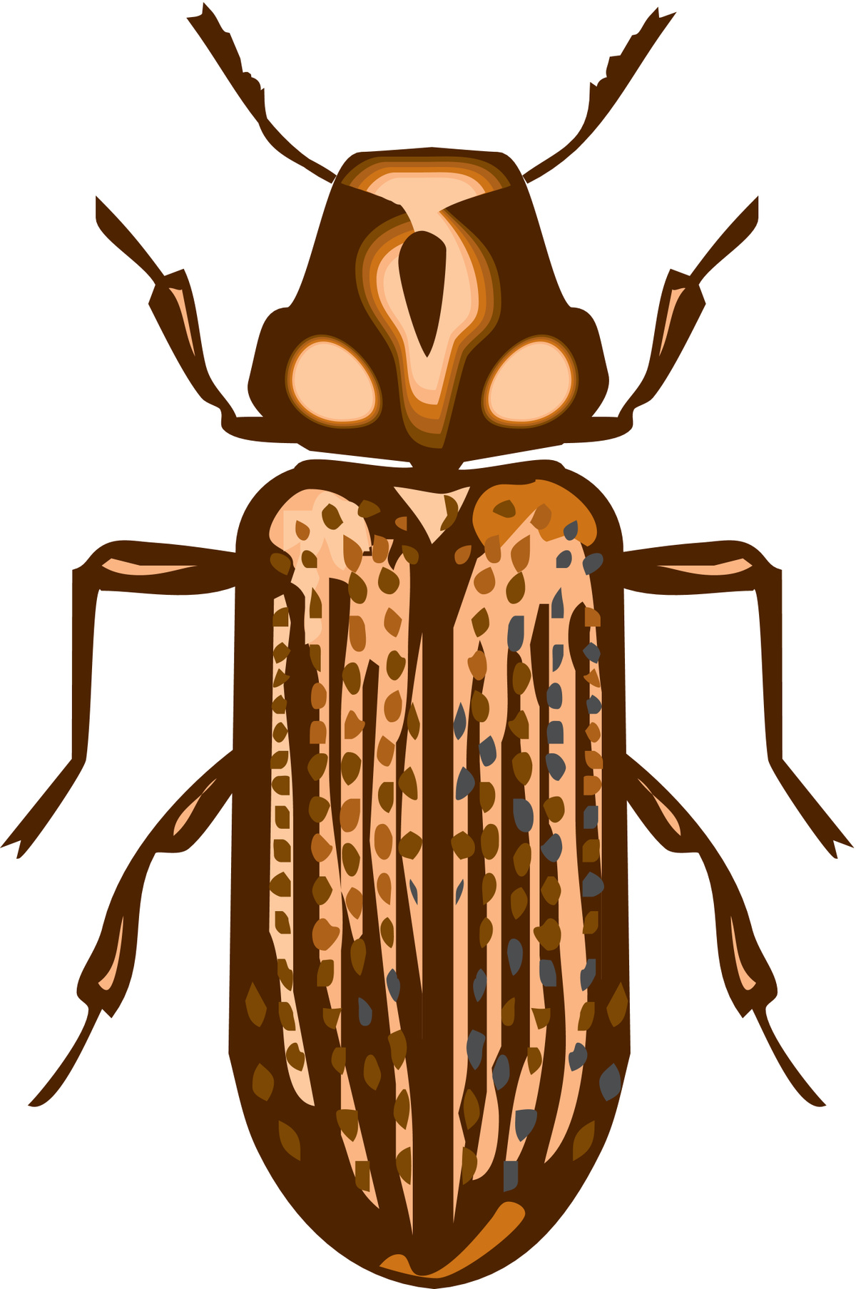 Strimmig trägnagare