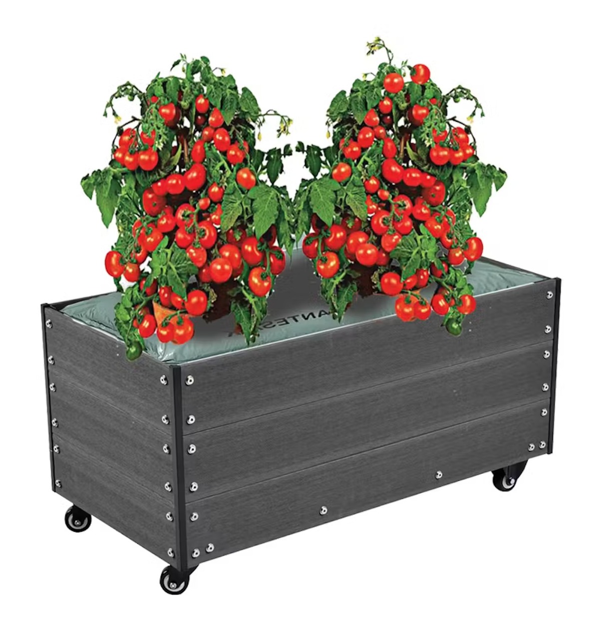 Populäraste planteringslådorna för balkongodling