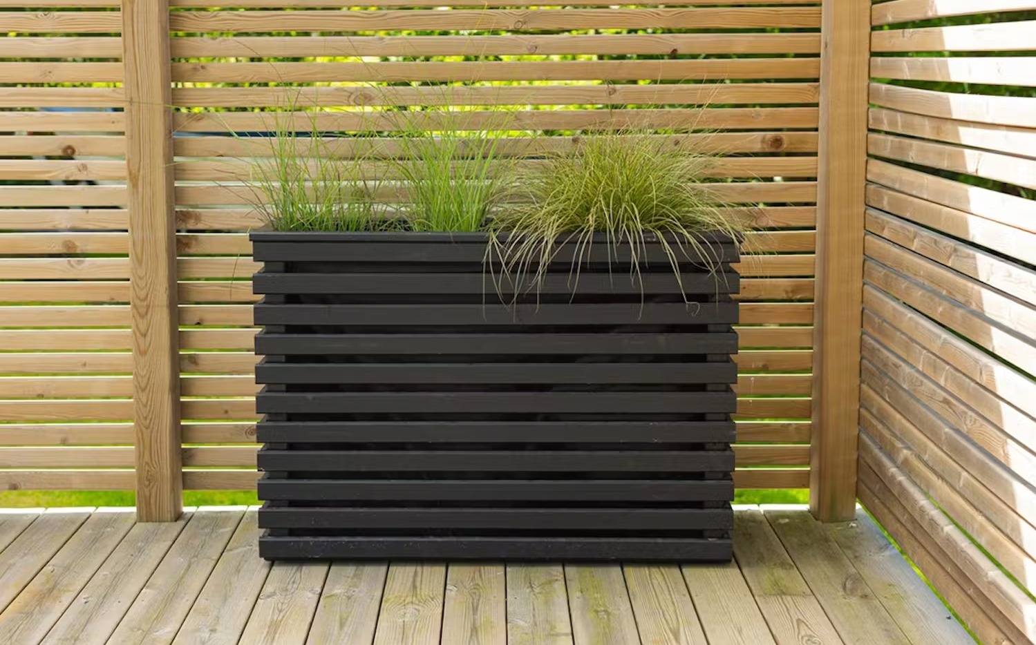 Populäraste planteringslådorna för balkongodling