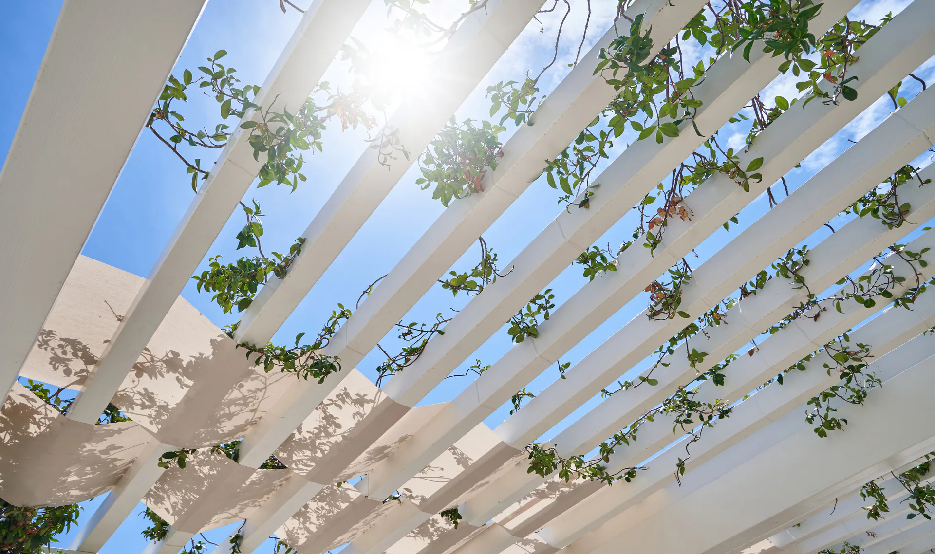 Bygga pergola i trä – från planering till färdig konstruktion