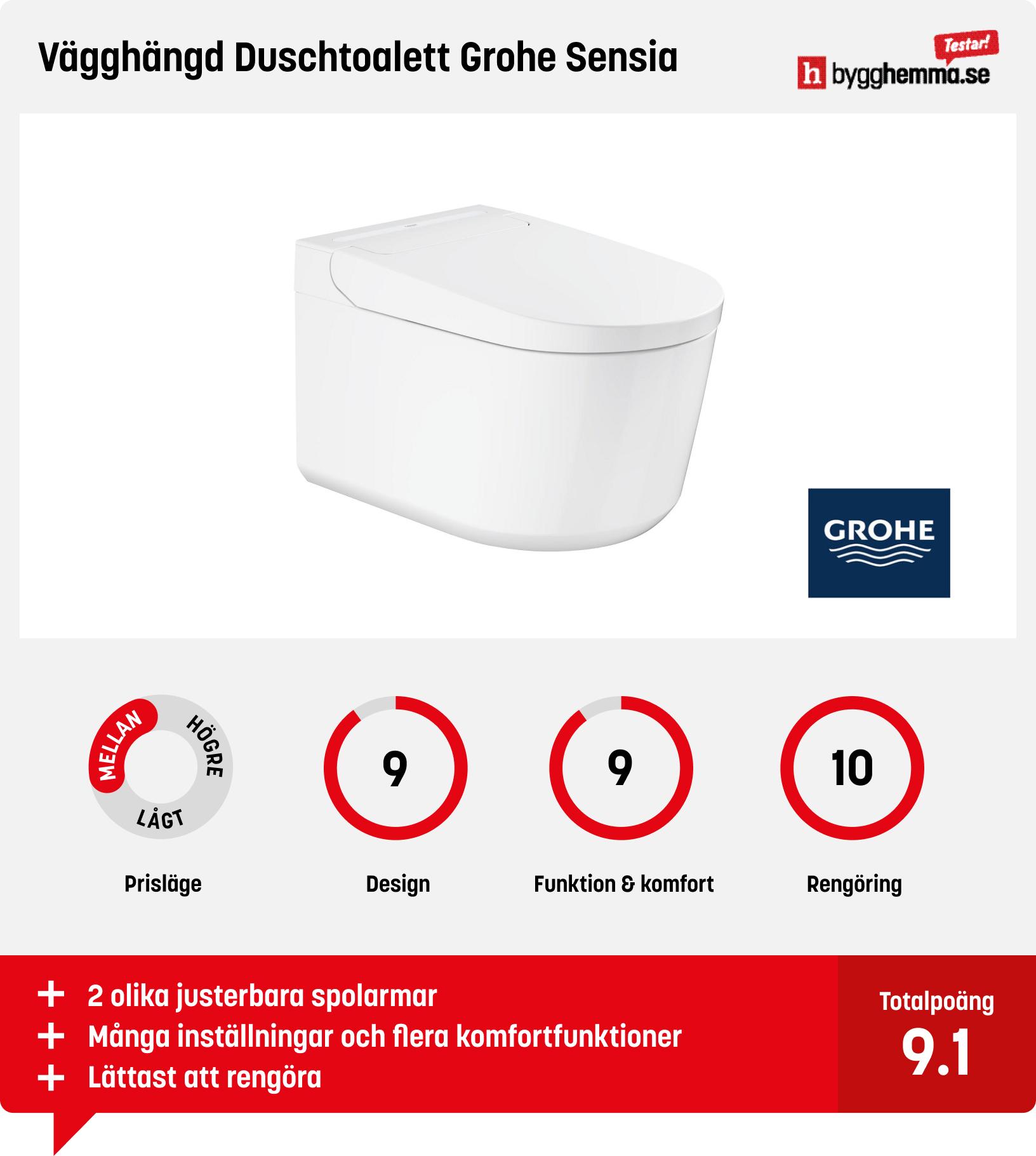 Japansk toalett bäst i test