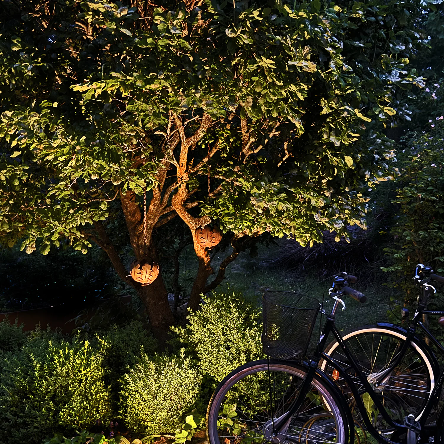 4_5148_luna_lightson_grey_bikes_1500x1500.jpg