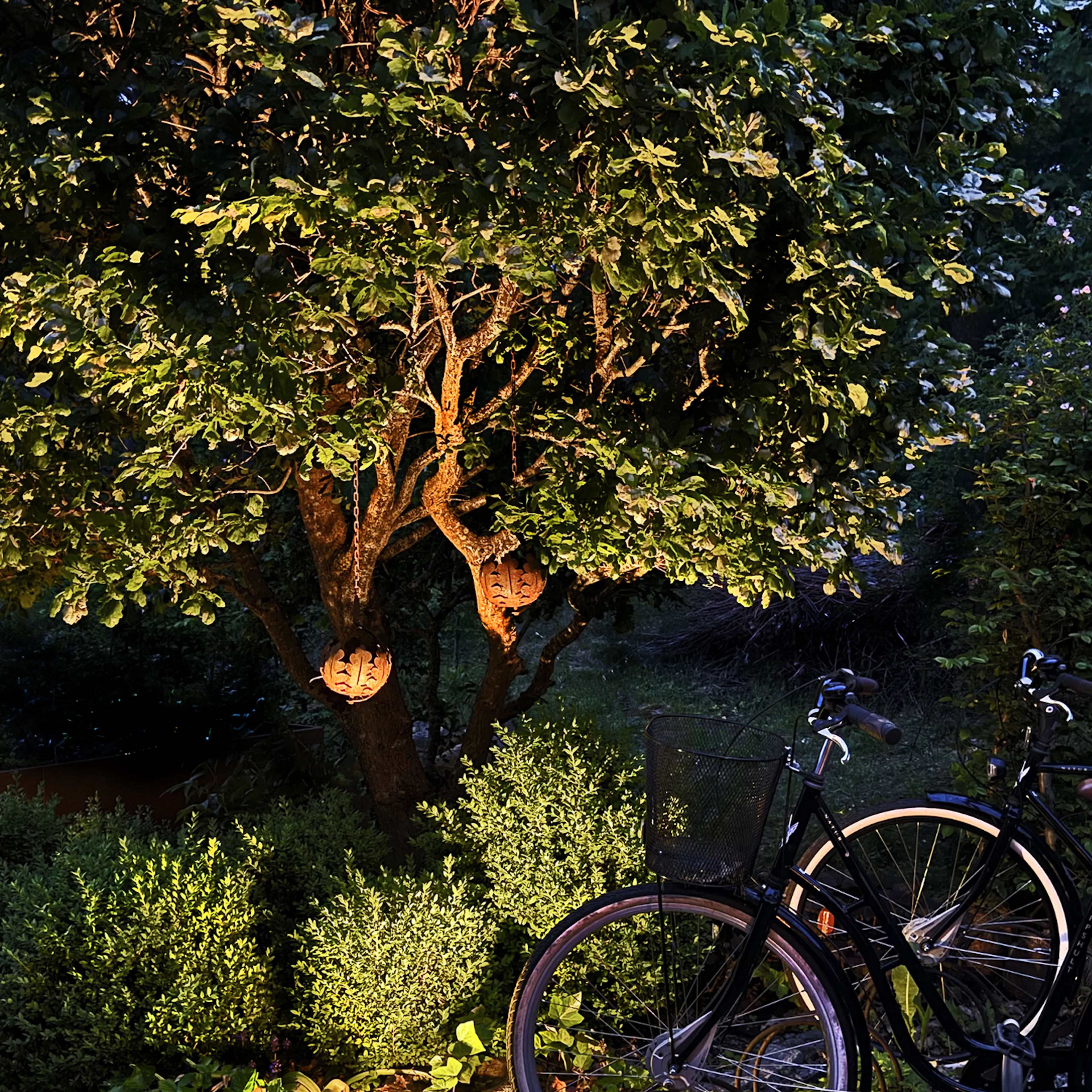 4_5148_luna_lightson_grey_bikes_1500x1500.jpg