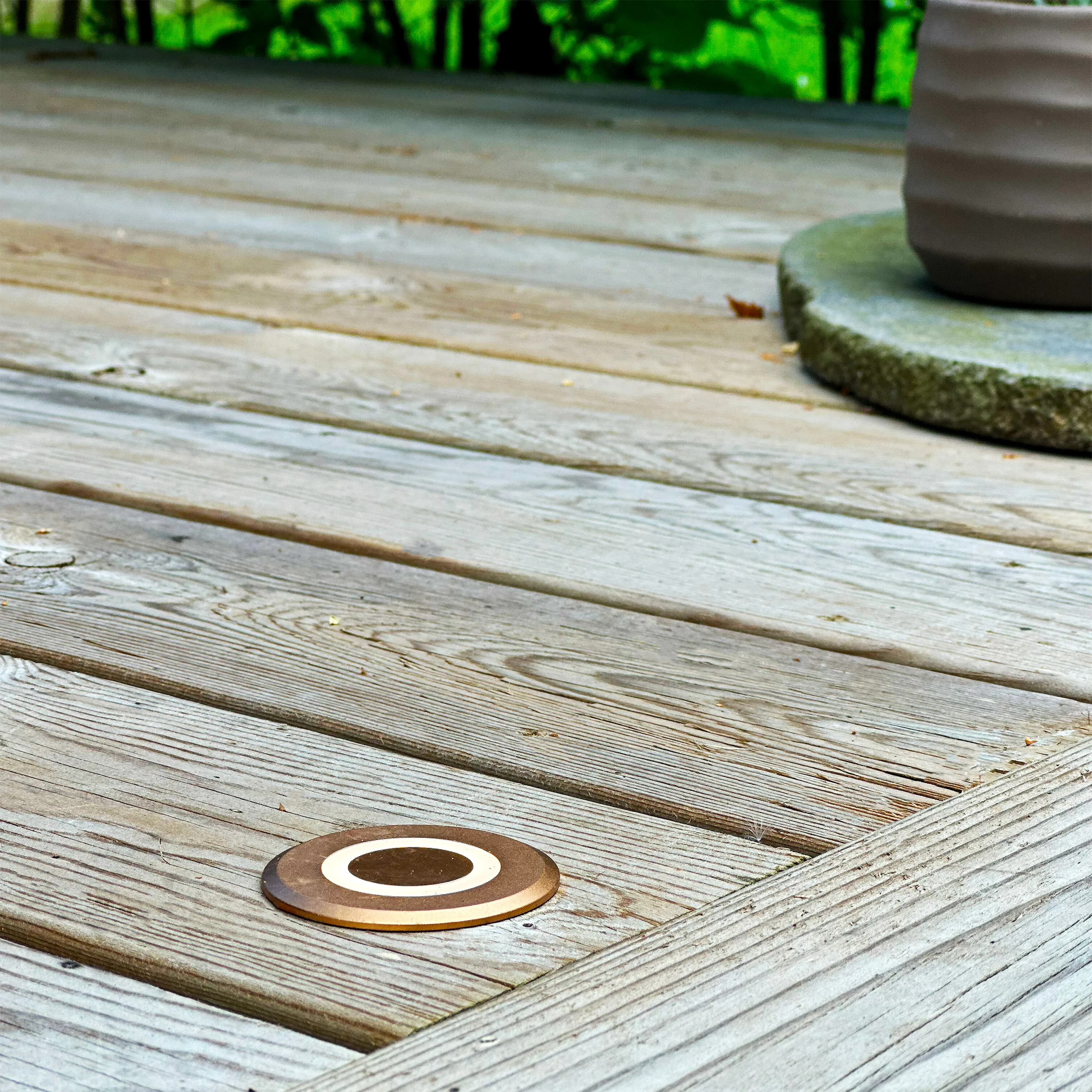 3_5114_lynx_bronze_lightson_deck.jpg