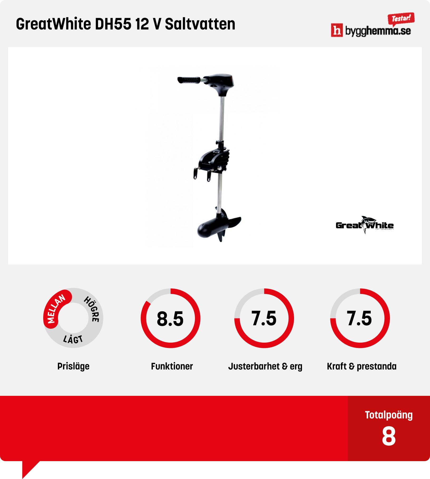 Elmotor båt bäst i test