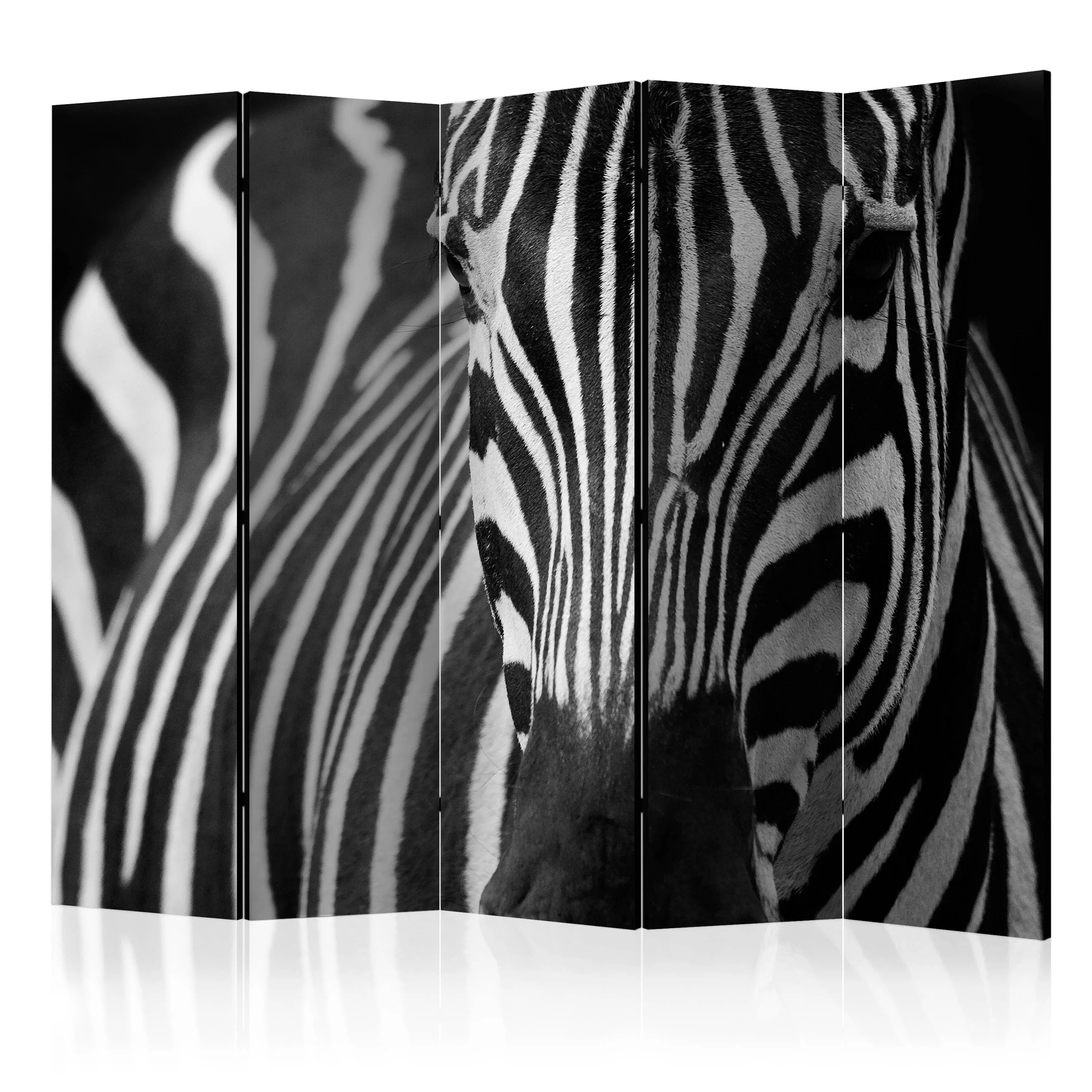 Rumsavdelare Skärmvägg Arkiio White With Black Stripes II 225x172 cm