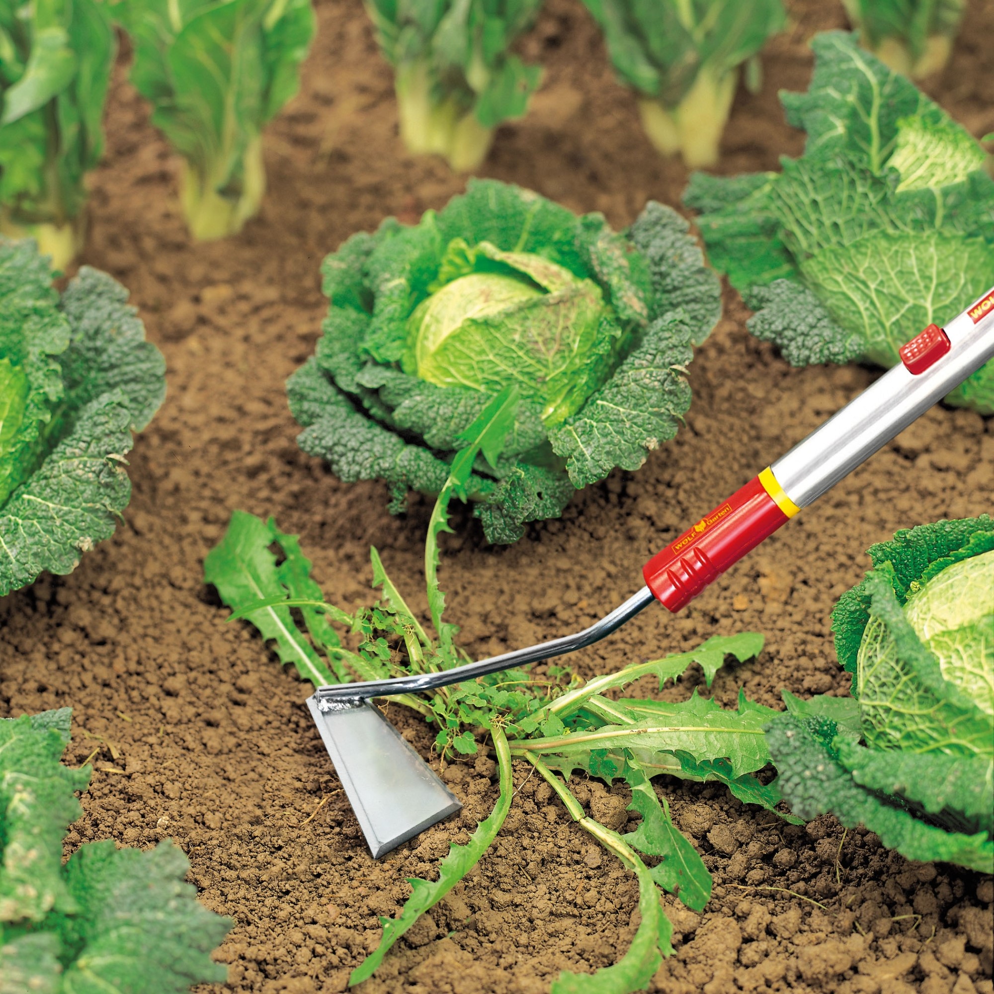 Skyffeljärn WOLF-Garten SH-M Multi-Star