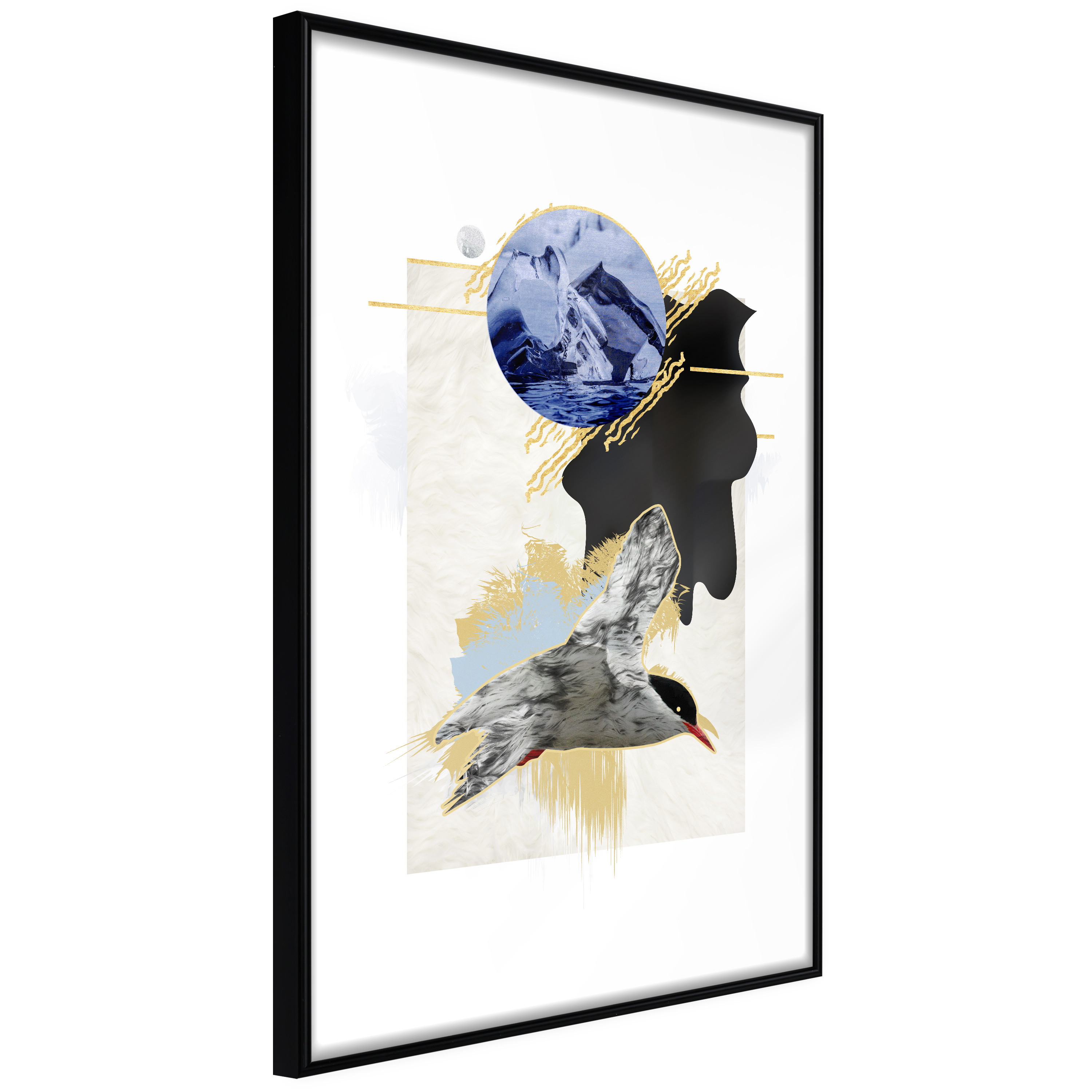 Poster Artgeist Affisch Antarctic Tern