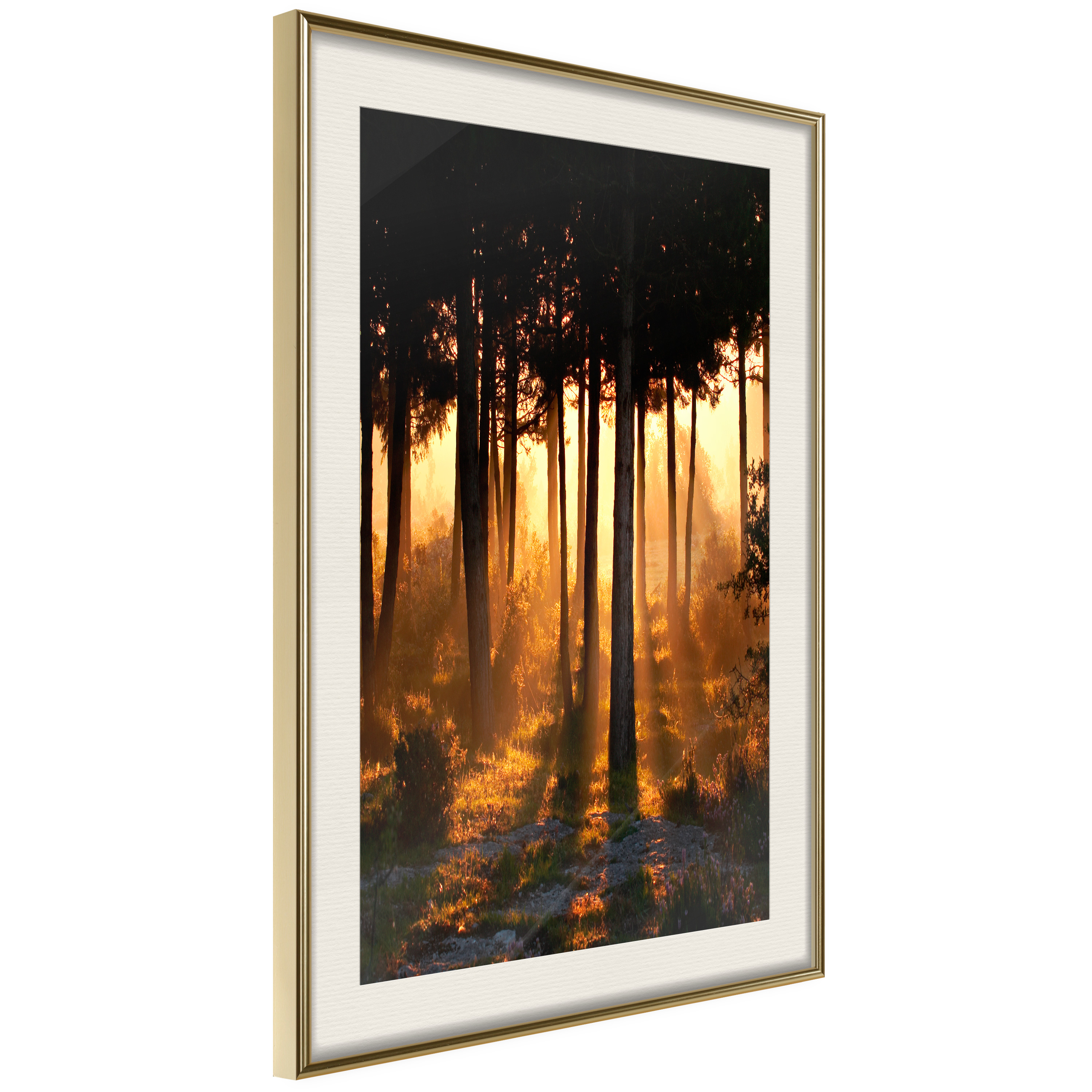 Poster Artgeist Affisch Honey Forest