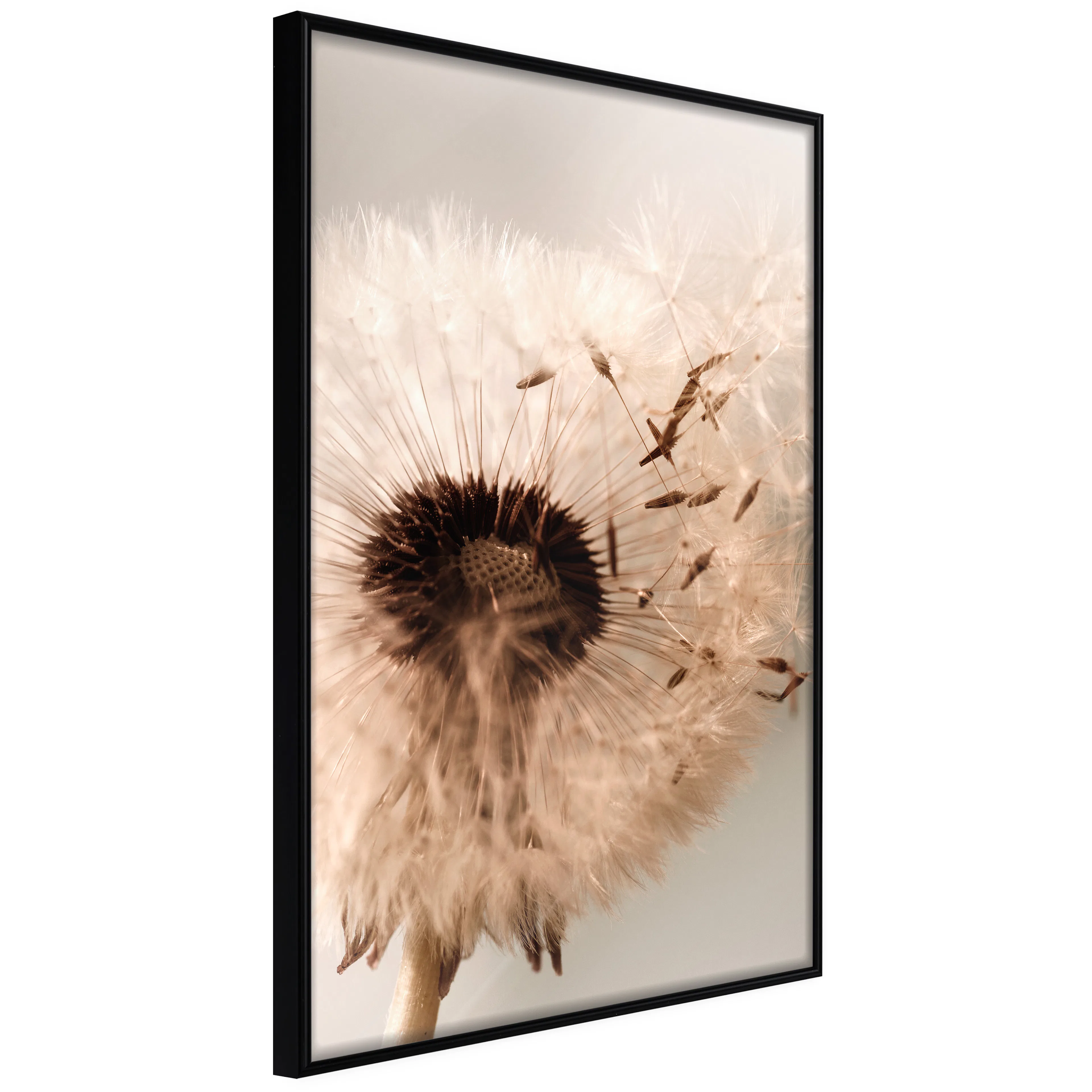 Affisch - Summer Blast [Poster] 30x45 Svart ram, 30x45 cm