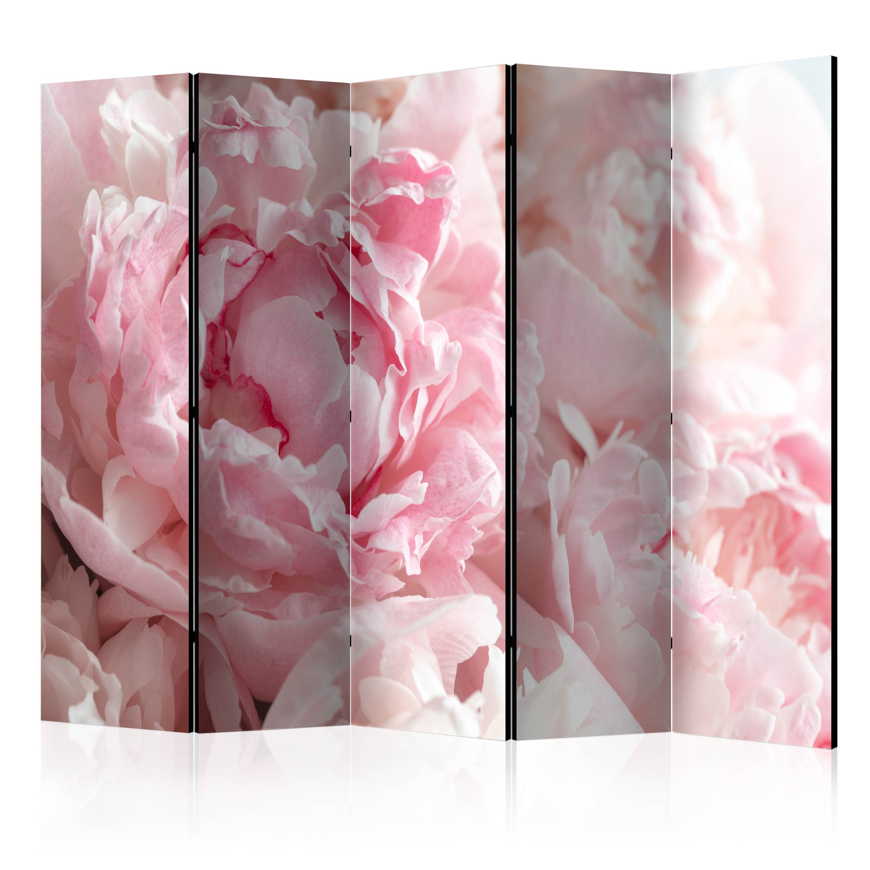 Rumsavdelare Skärmvägg Arkiio Sweet Peonies II 225x172 cm