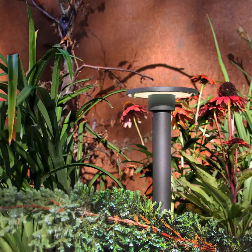 Pollare LightsOn Orbit