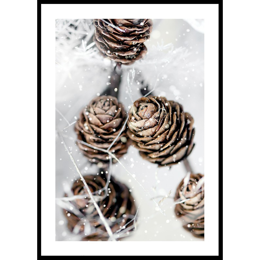Poster Gallerix Winter Pine Cones