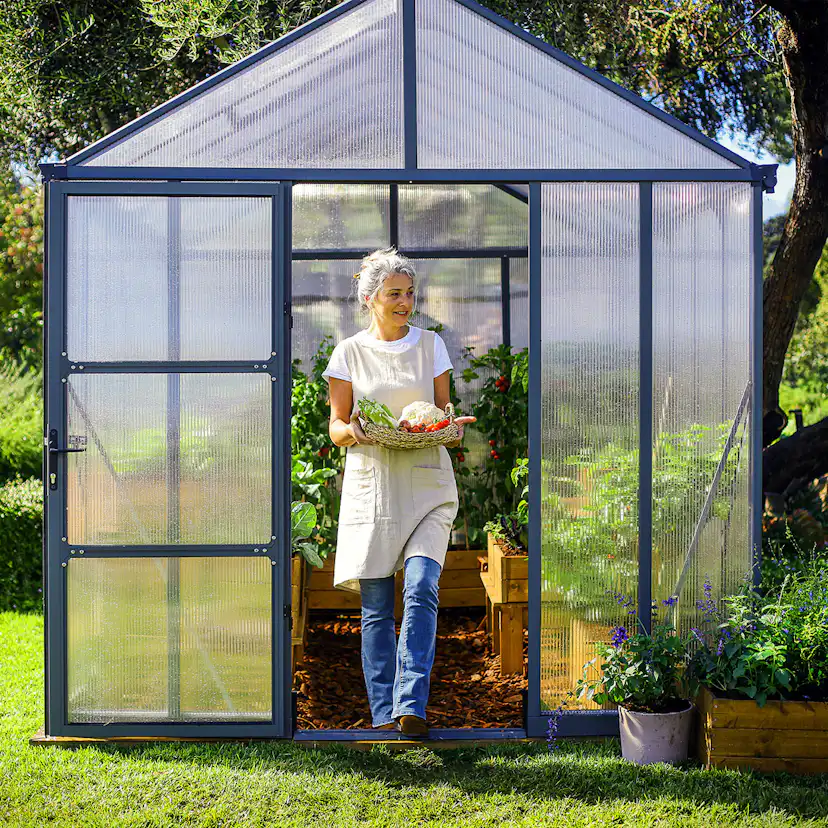 Växthus Canopia by Palram Glory 15,3 m² Mörkgrå
