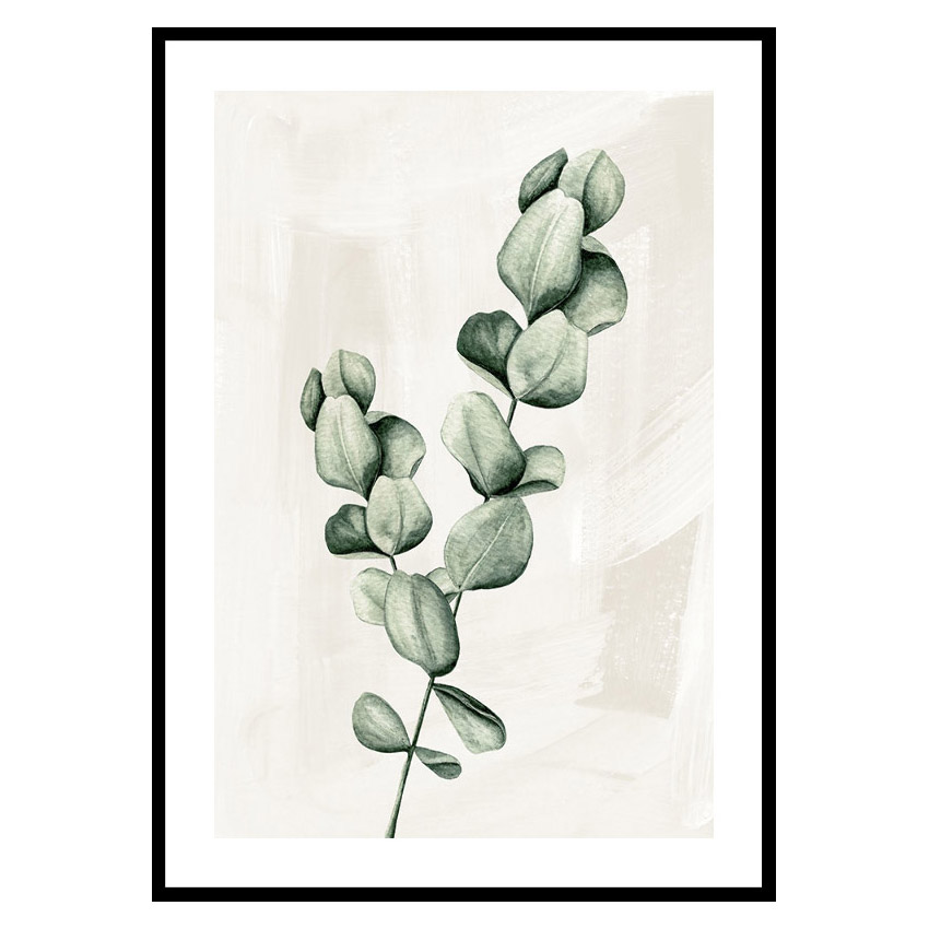 Poster Gallerix Eucalyptus Watercolor