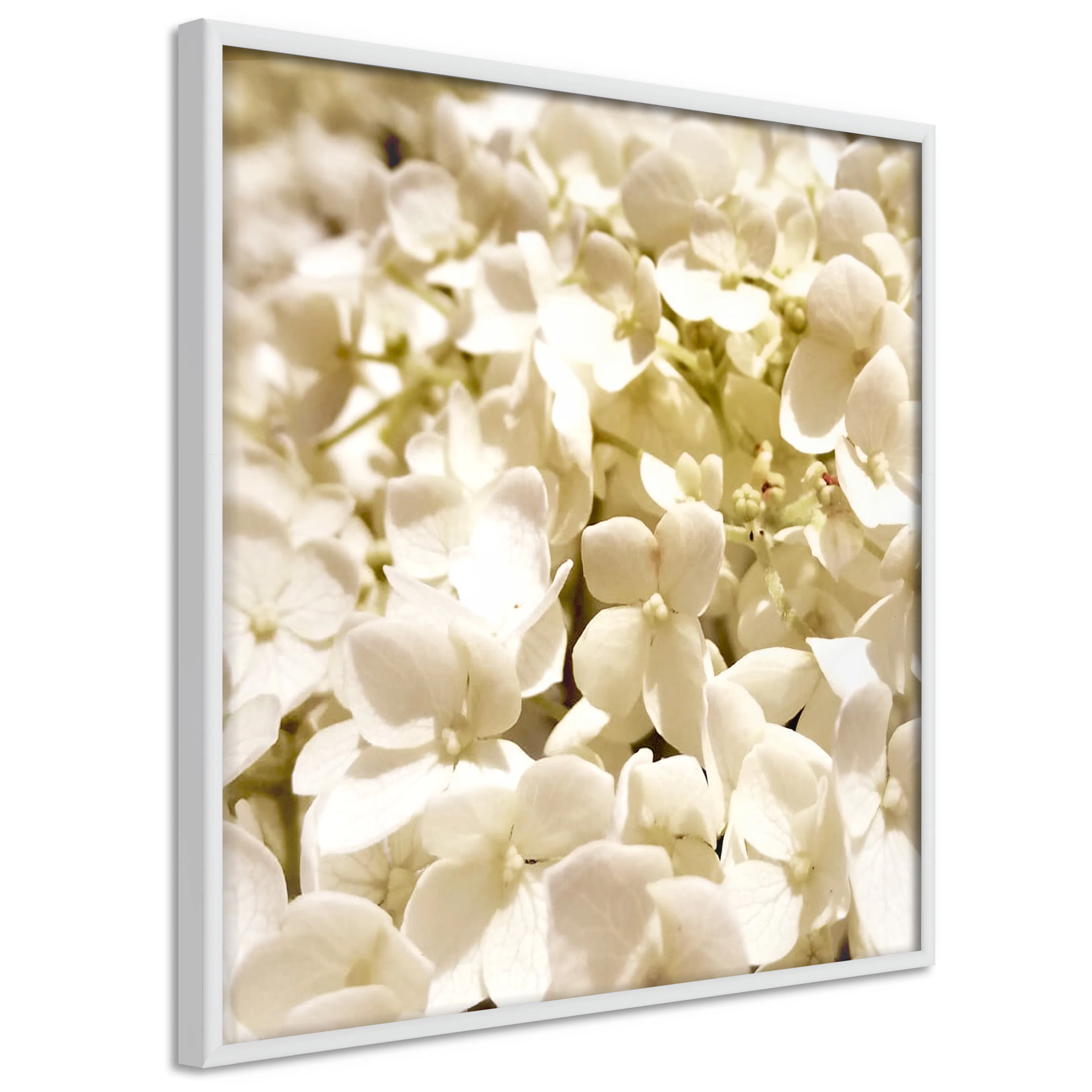 Poster Artgeist Affisch White Meadow