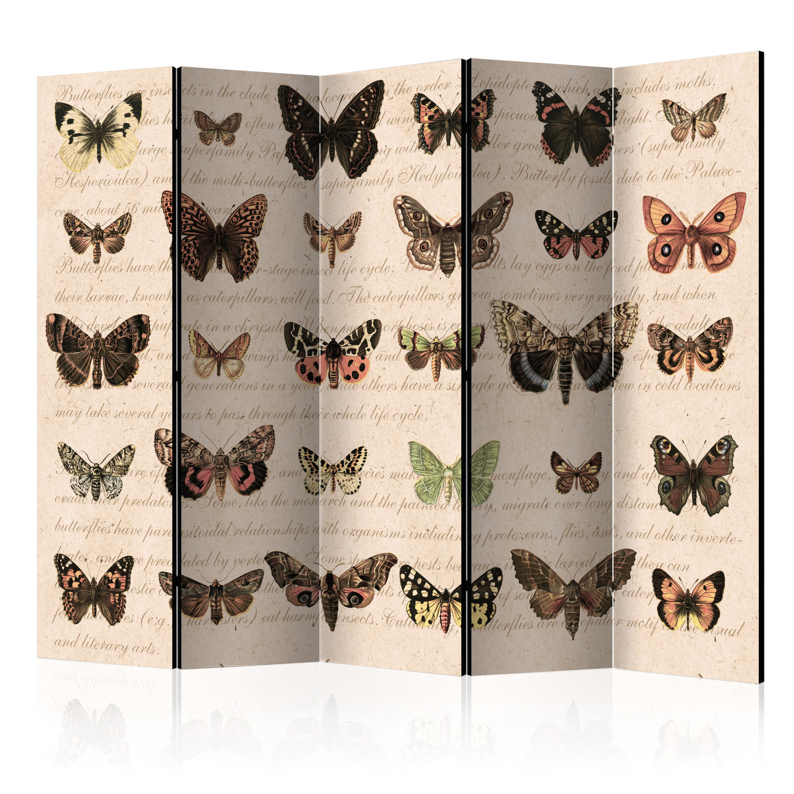 Rumsavdelare Skärmvägg Arkiio Retro Style: Butterflies II 225x172 cm