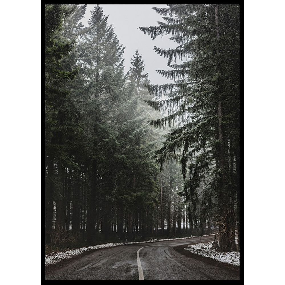 Poster Gallerix Deep Forest Road