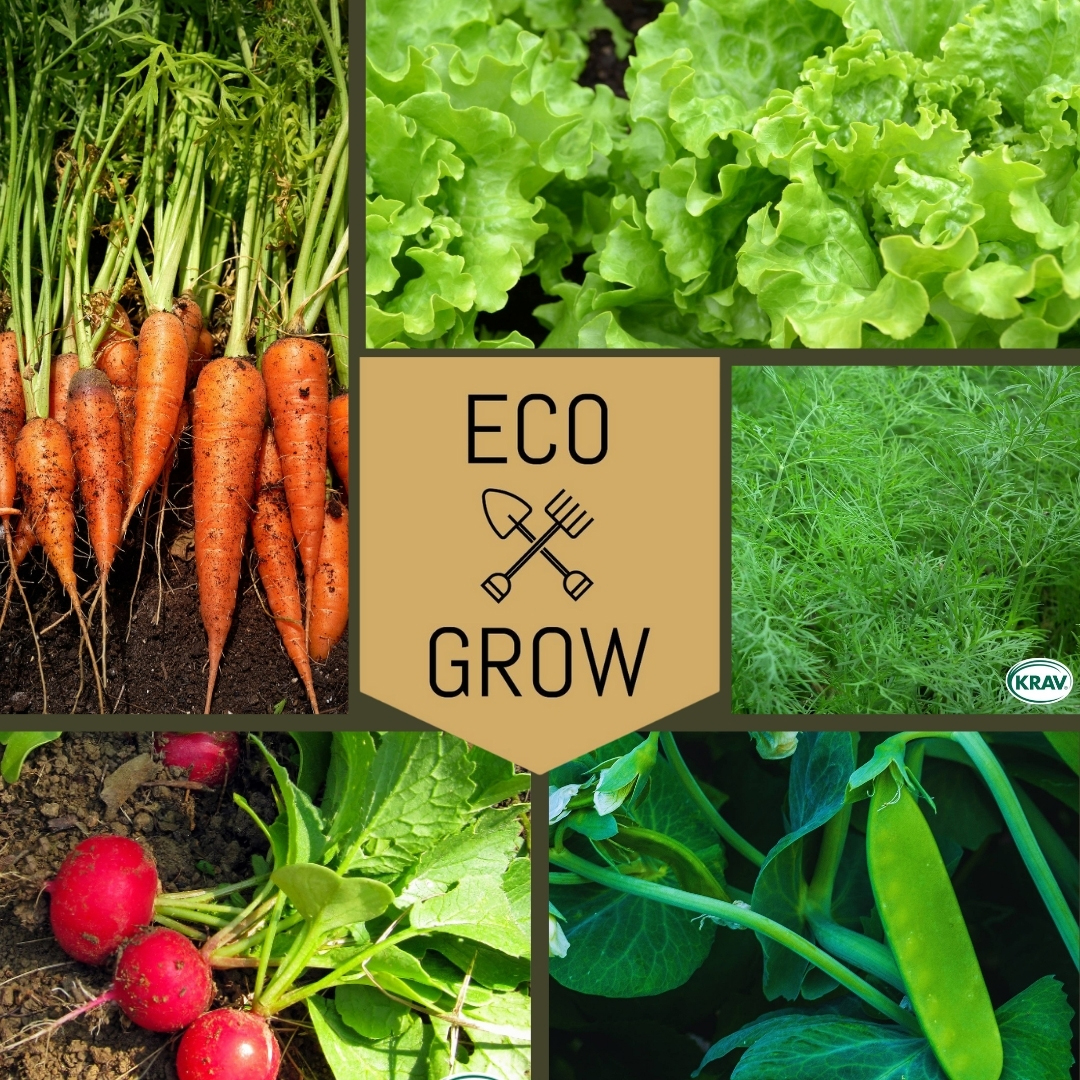 Grönsaksfröer Eco Grow Startkit Trädgårdsfavoriter 5-pack för Odling