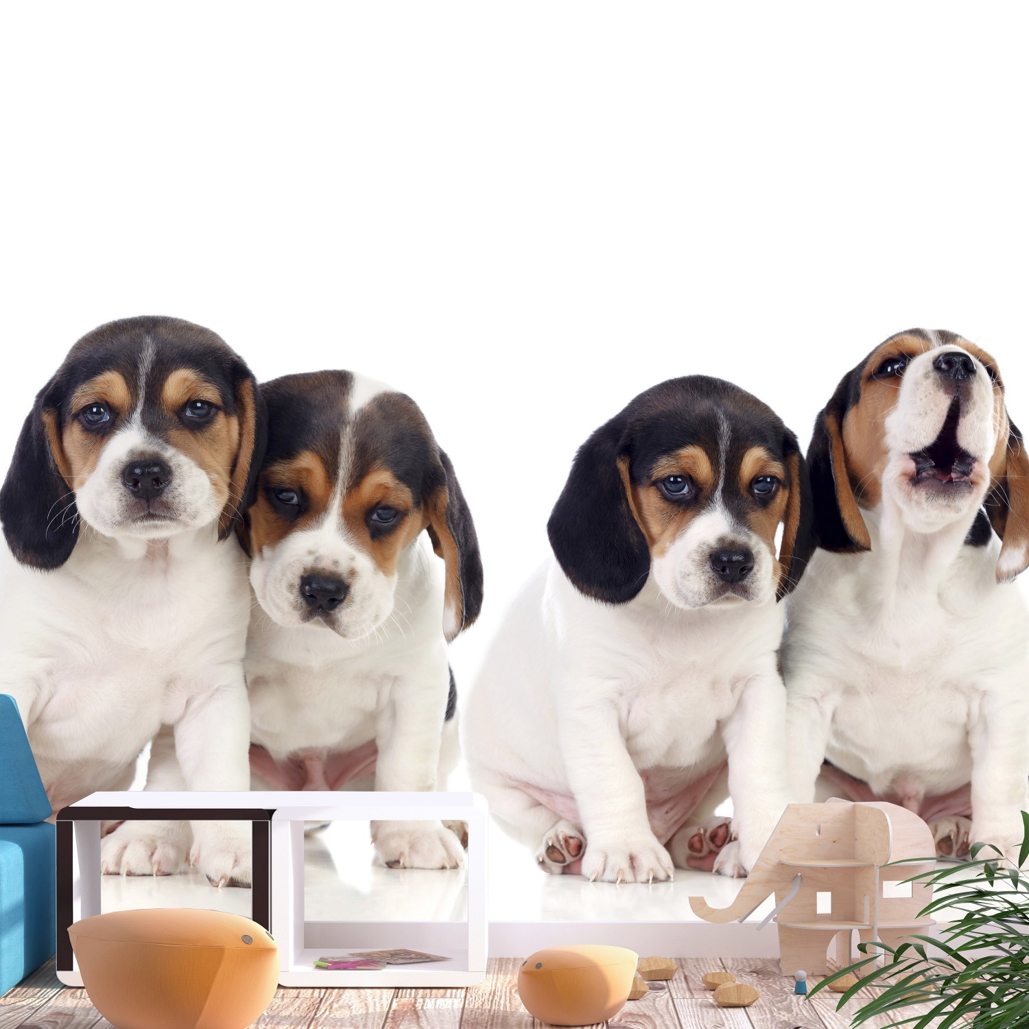 Fototapet Arkiio Sad Puppies