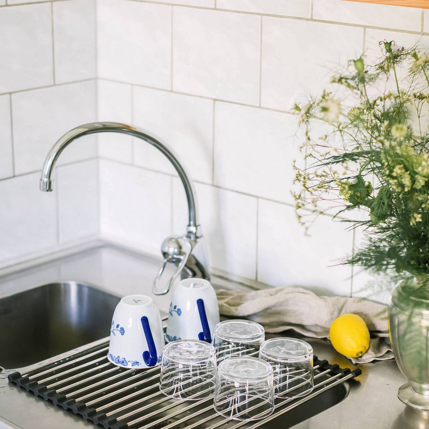 Diskställ Dorre Dina Rullbart Rostfritt Stål