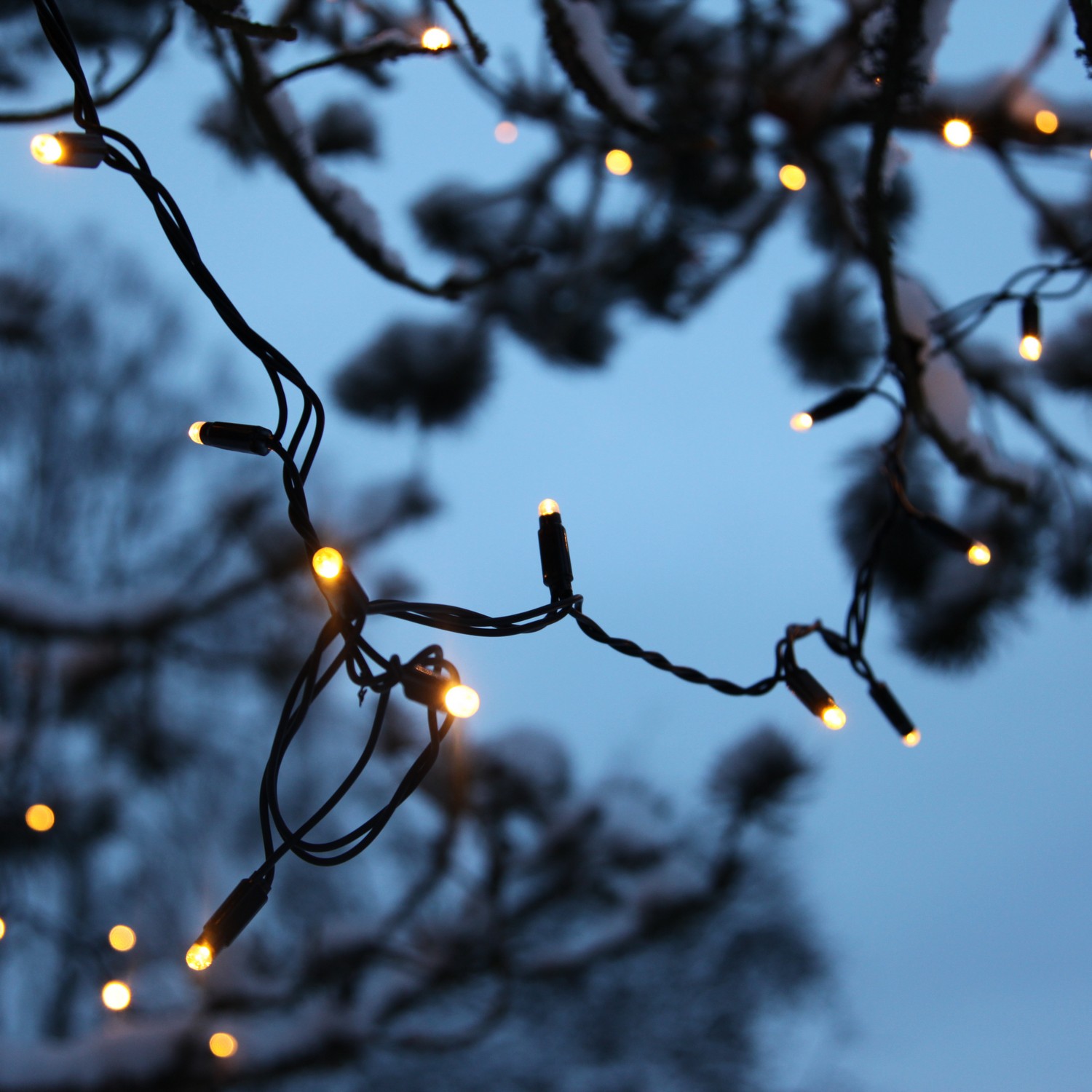 Ljusslinga Star Trading Extra System 24 49L