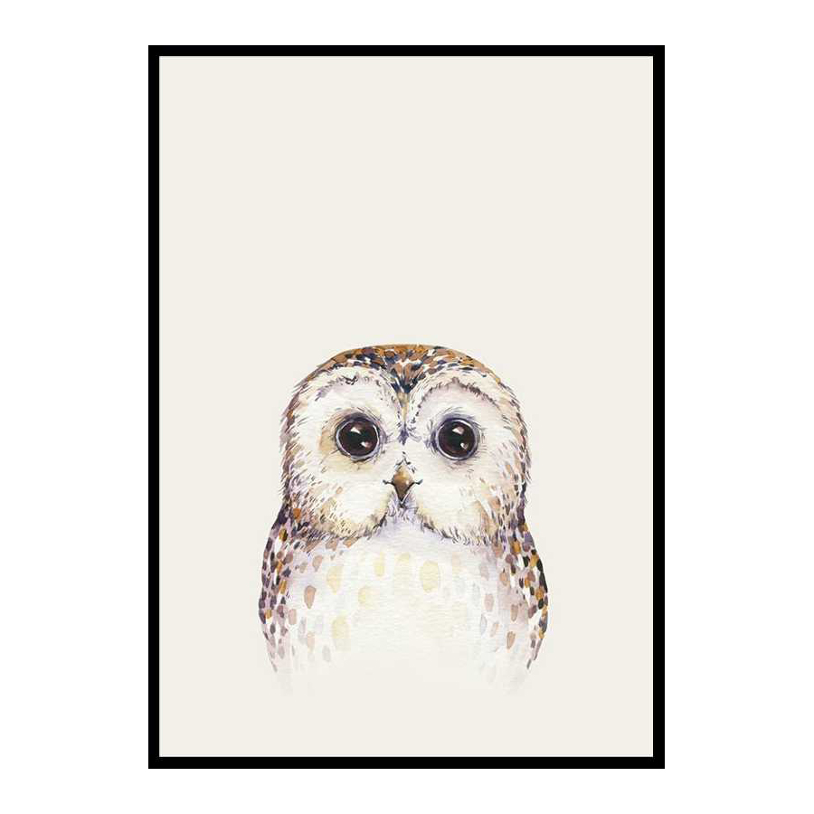 Poster Gallerix Peekaboo Owl