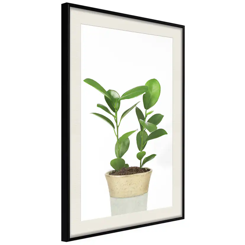 Poster Artgeist Affisch Plant In Pot