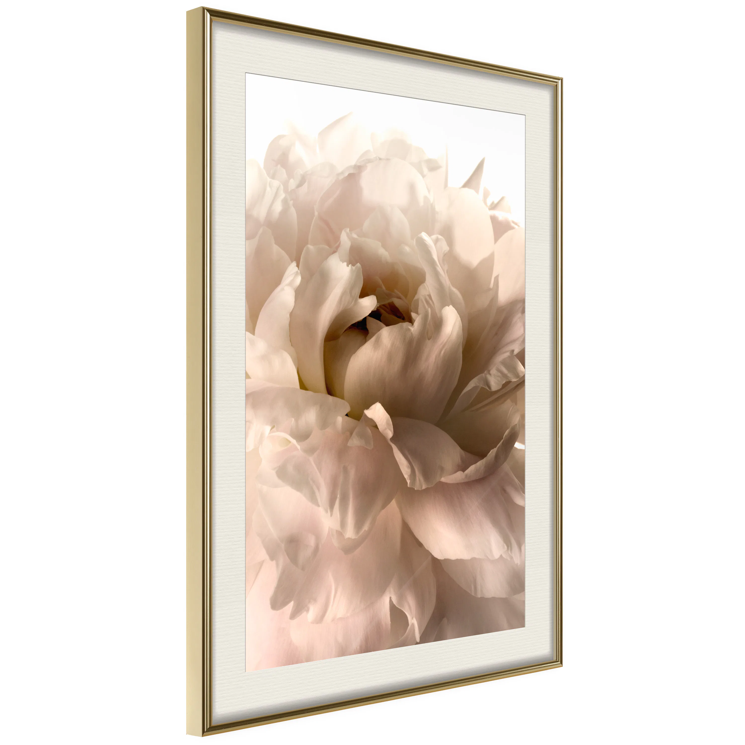 Poster Artgeist Affisch Soft Petals