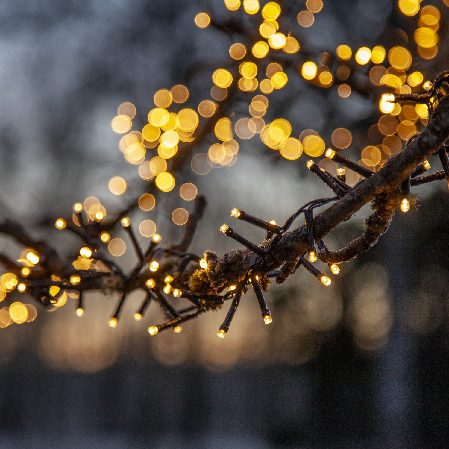 Ljusslinga Star Trading Flashy