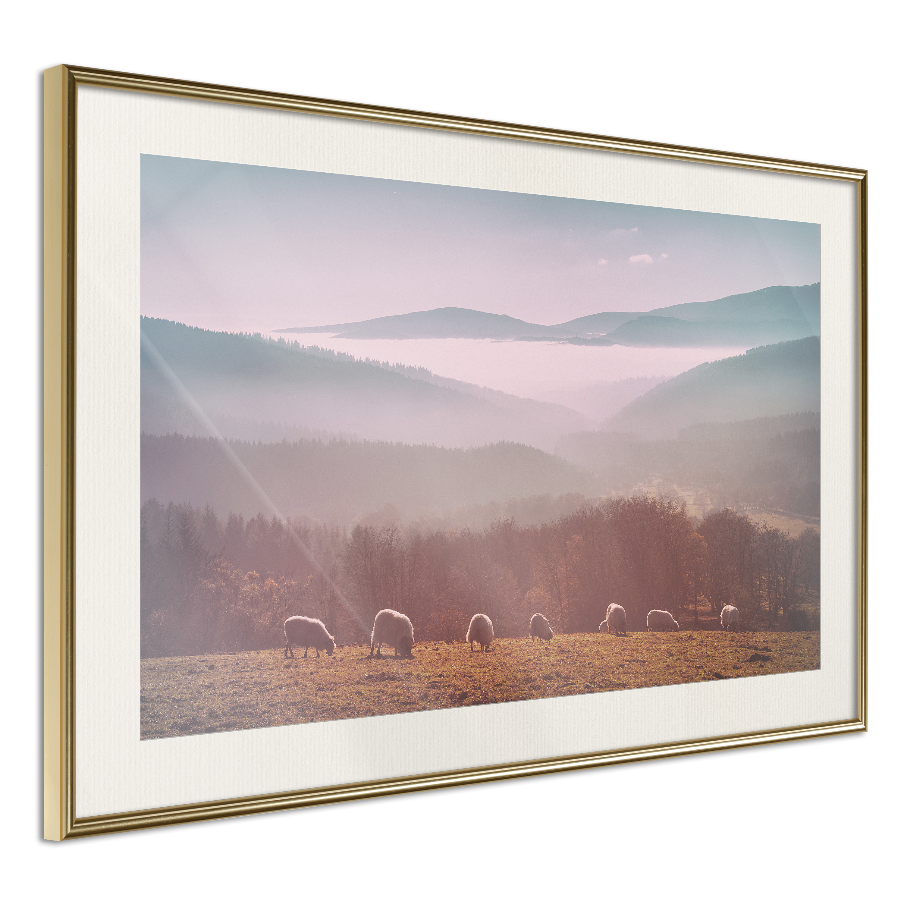 Affisch - Flock of Sheep [Poster] 60x40 Guld ram med passepartout, 60x40 cm