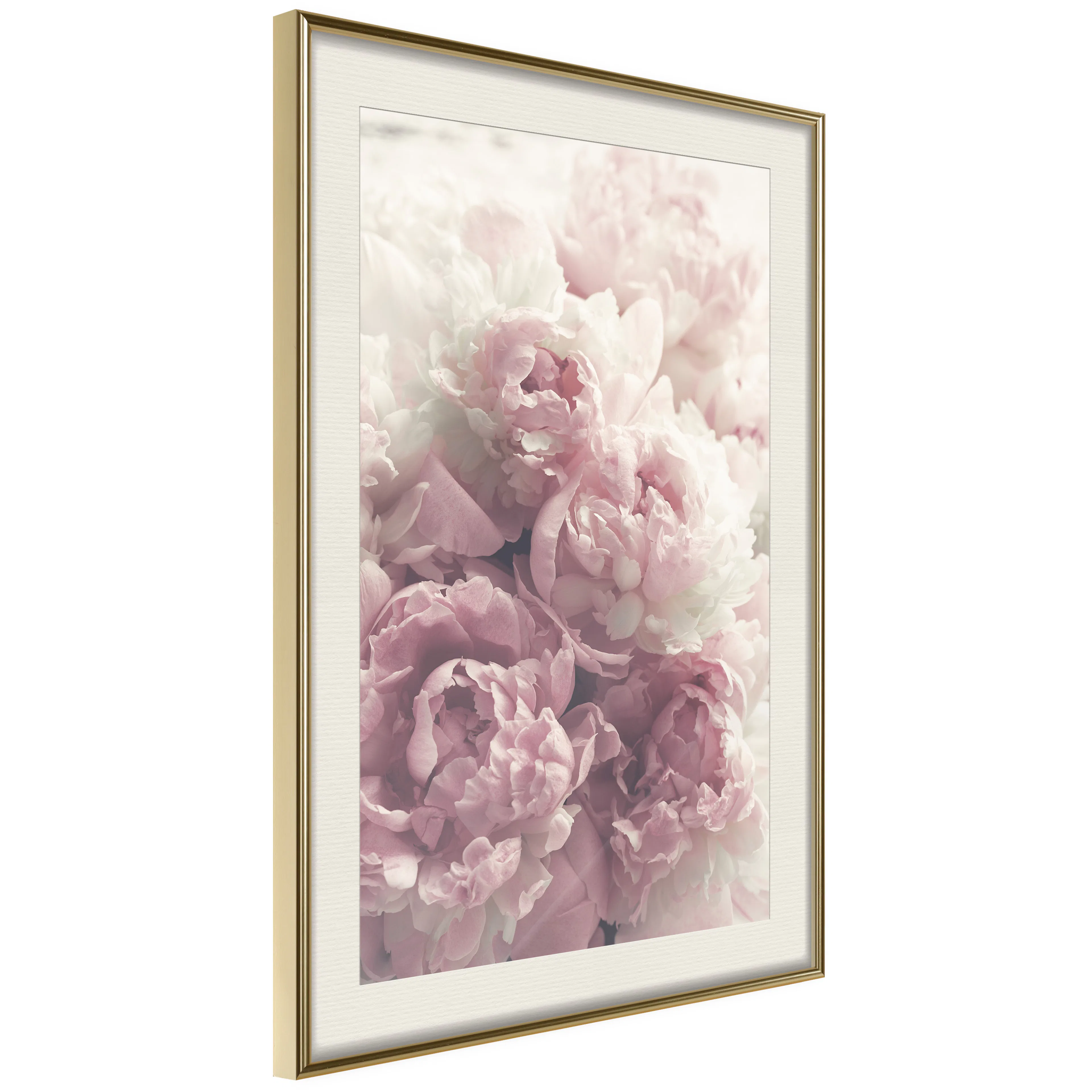 Poster Artgeist Affisch Delicate Peonies