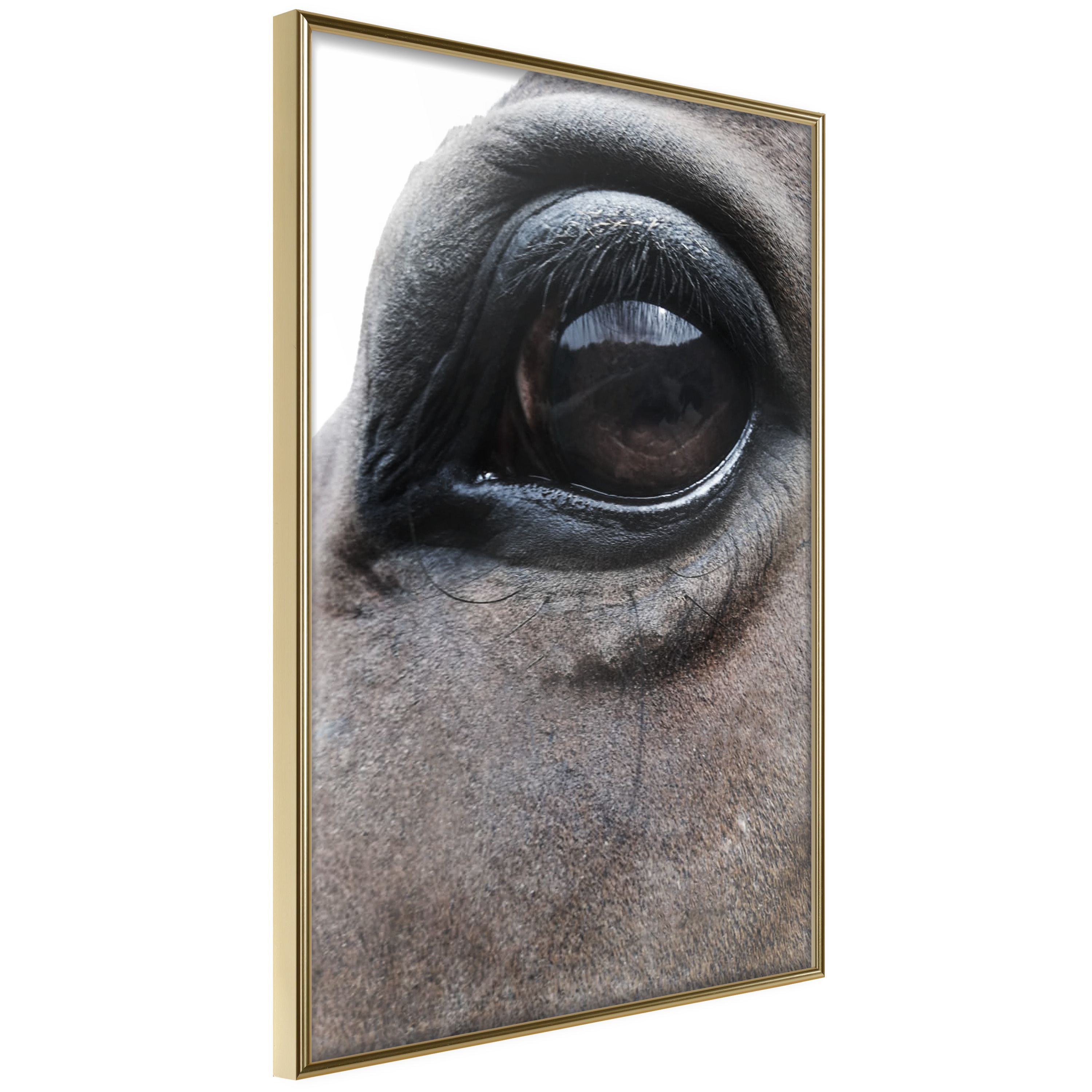 Poster Artgeist Affisch Honest Eyes