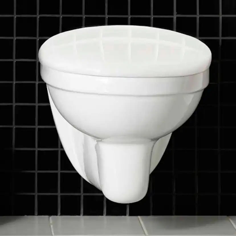 Toalettpaket Hafa Wall med WC-fixtur och Spolplatta