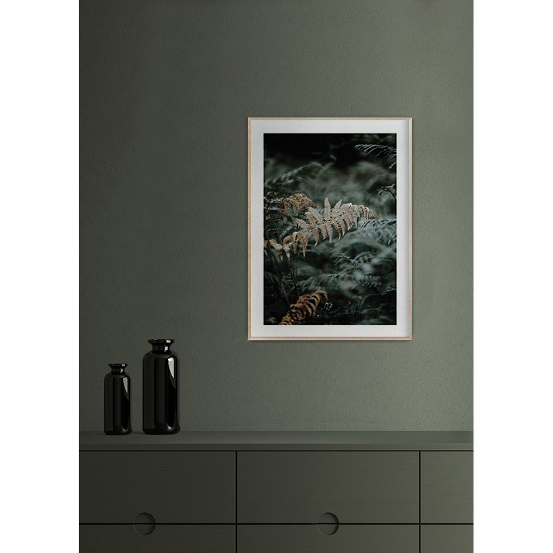 Poster Gallerix Fern No2