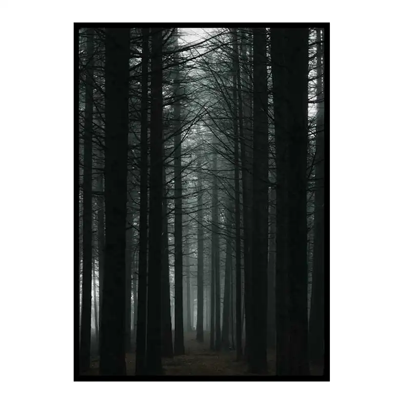 Poster Gallerix Dark Forest