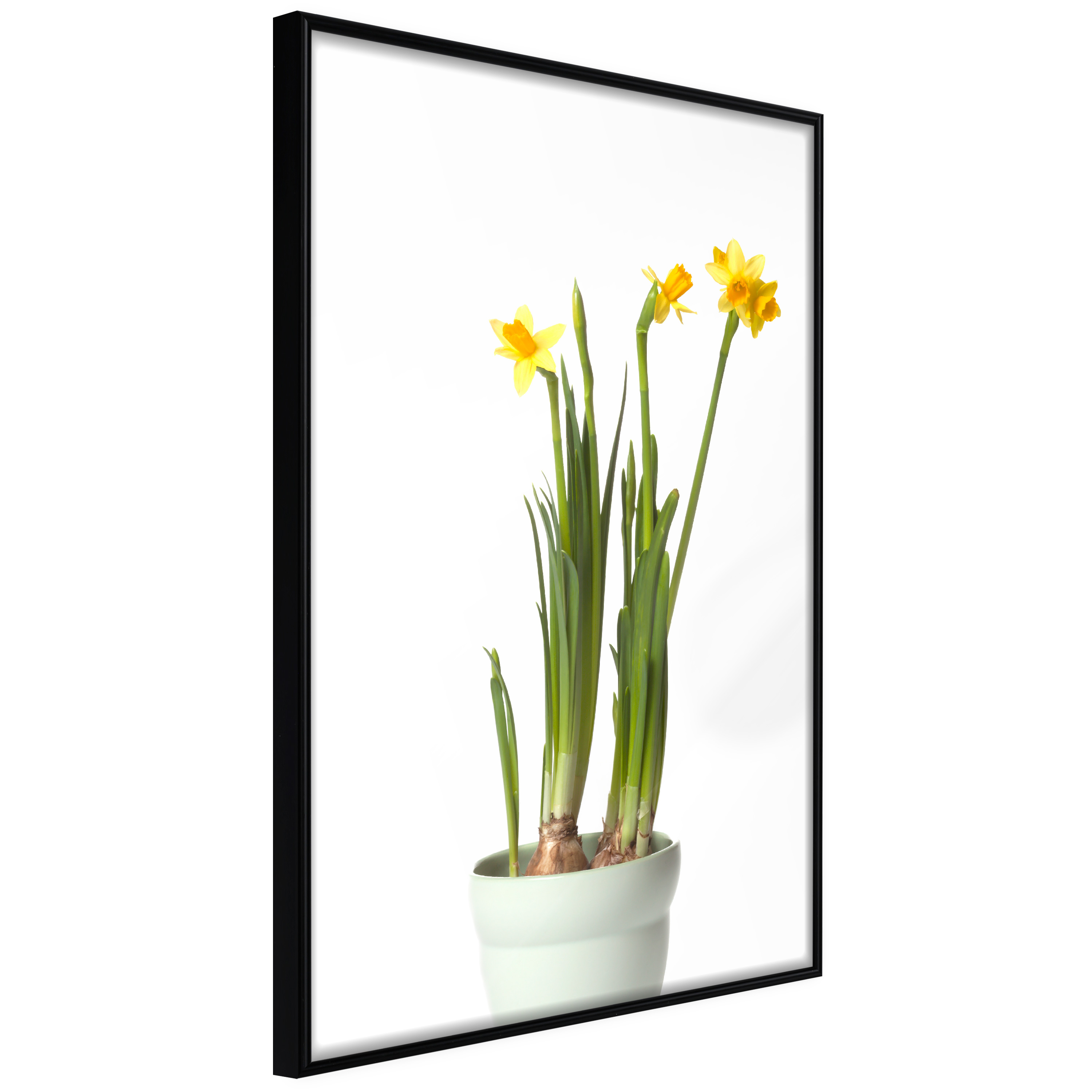 Affisch - Narcissus [Poster] 20x30 Svart ram, 20x30 cm