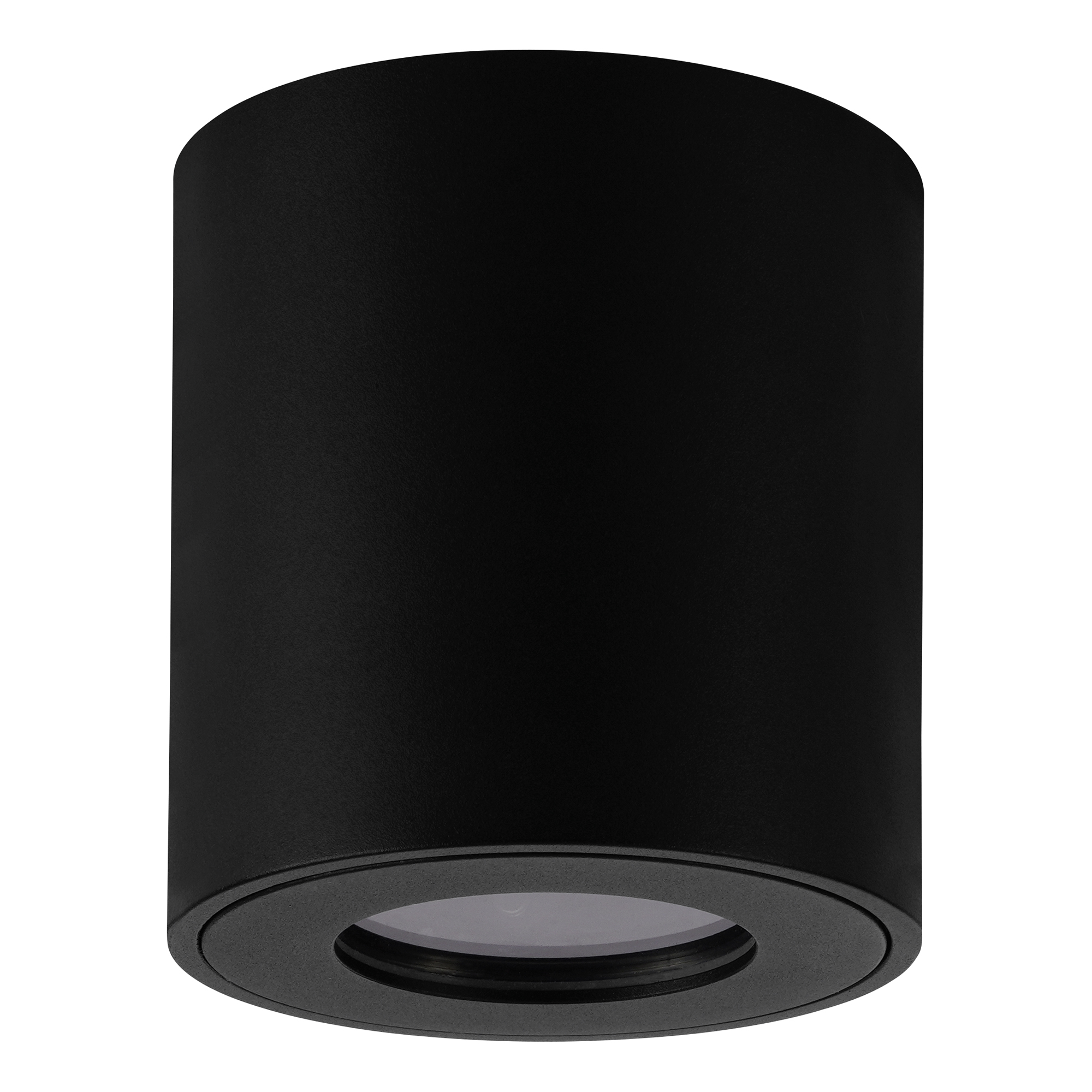 Taklampa Utebelysning Eglo Torrecola Ø80 mm