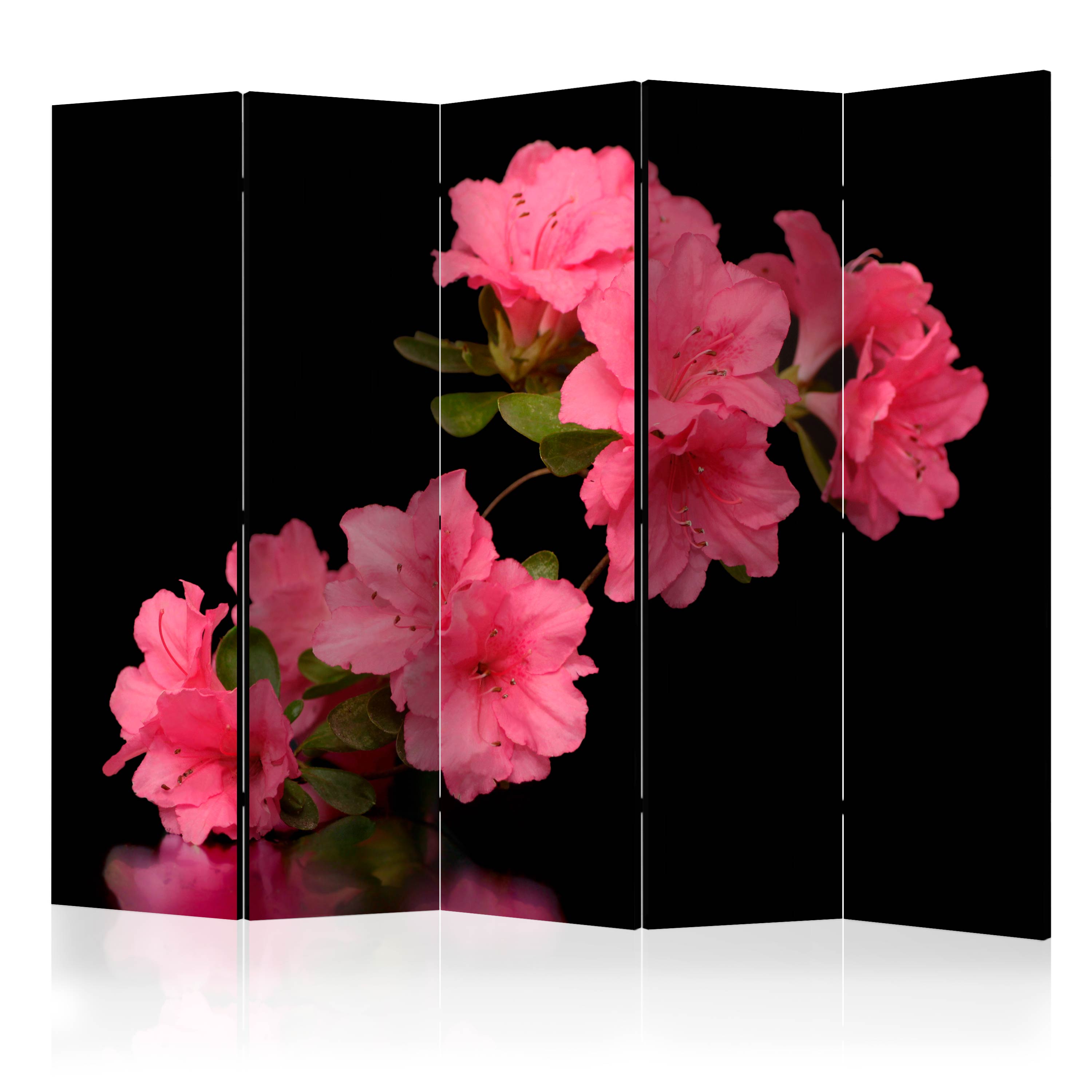 Rumsavdelare Skärmvägg Arkiio Azalea in Black II 225x172 cm
