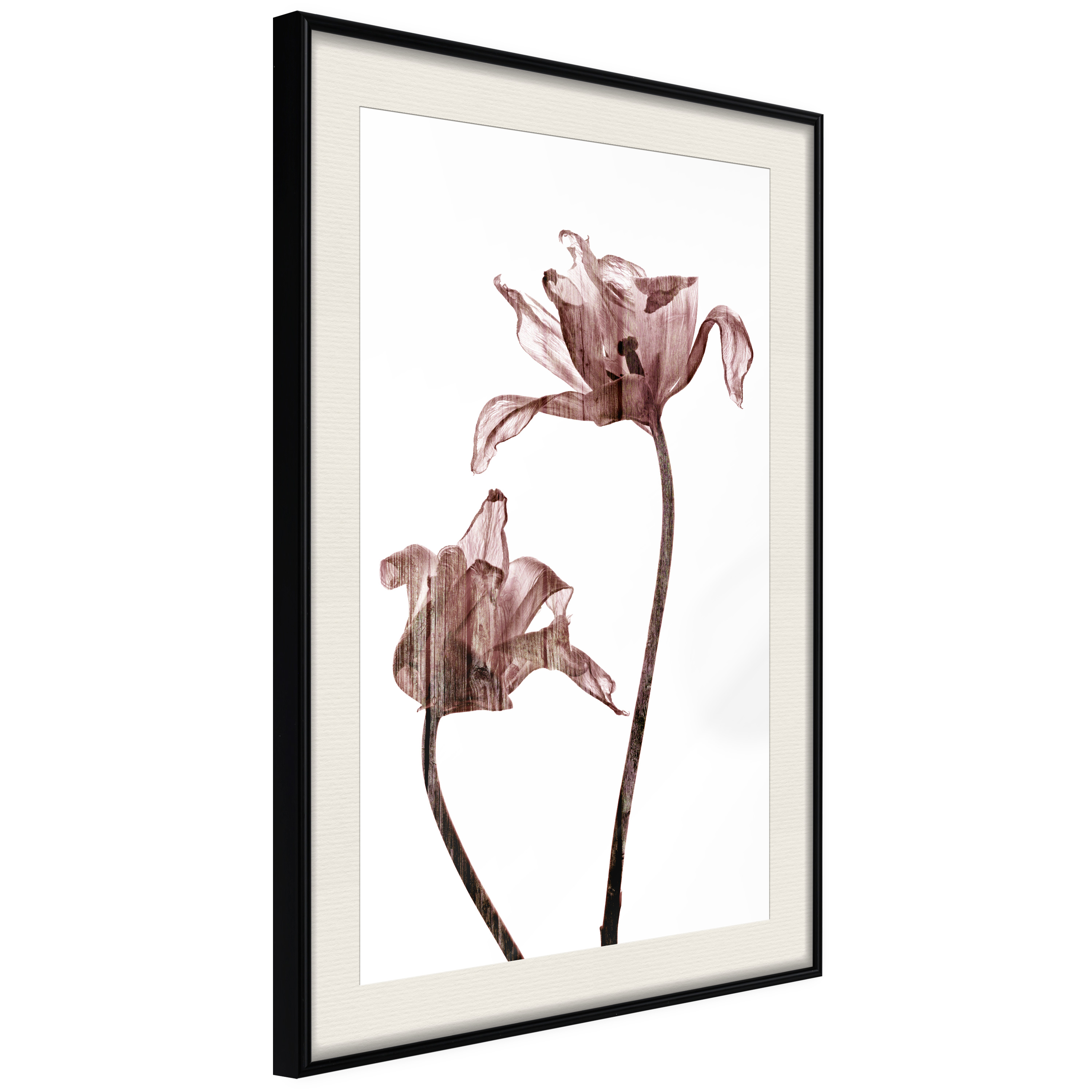 Affisch - Illuminated Closeness [Poster] 30x45 Svart ram med passepartout, 30x45 cm