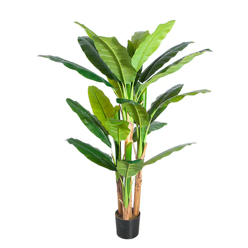 Konstväxt Lykke Banana Tree