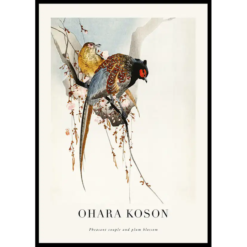 Pheasant Couple And Plum Blossom By Ohara Koson 70x100 70x100 cm